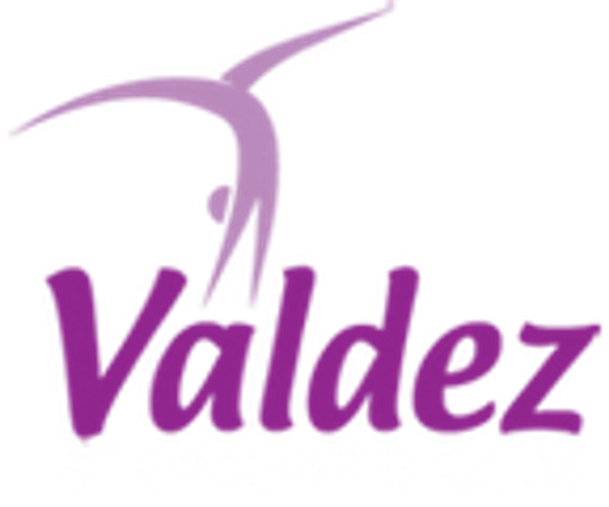 Valdez Gymnastics Club