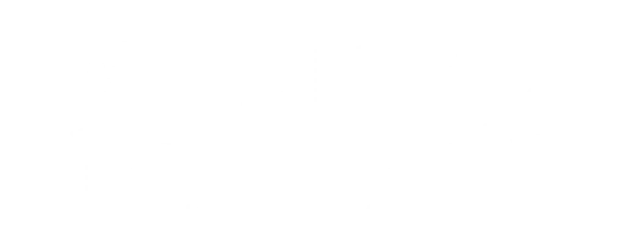 Hibiscus Surf School - Tay Street