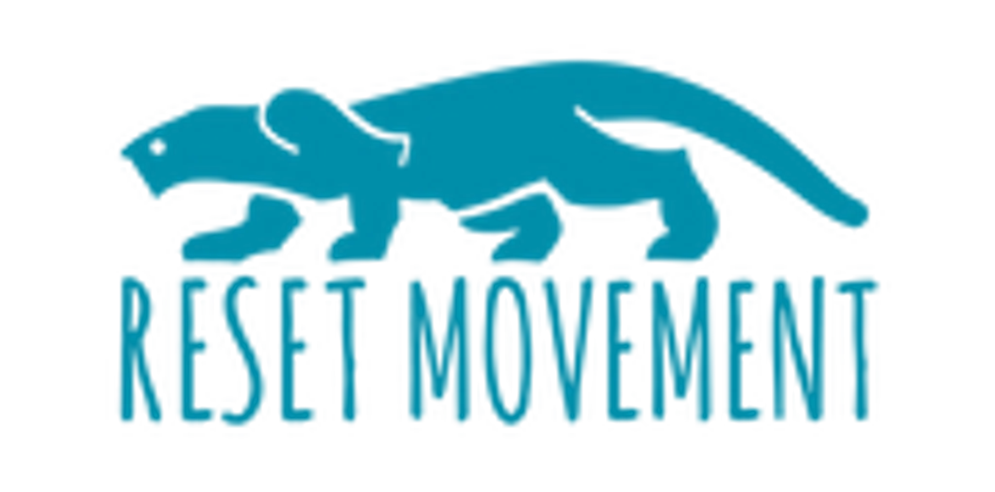 Reset Movement