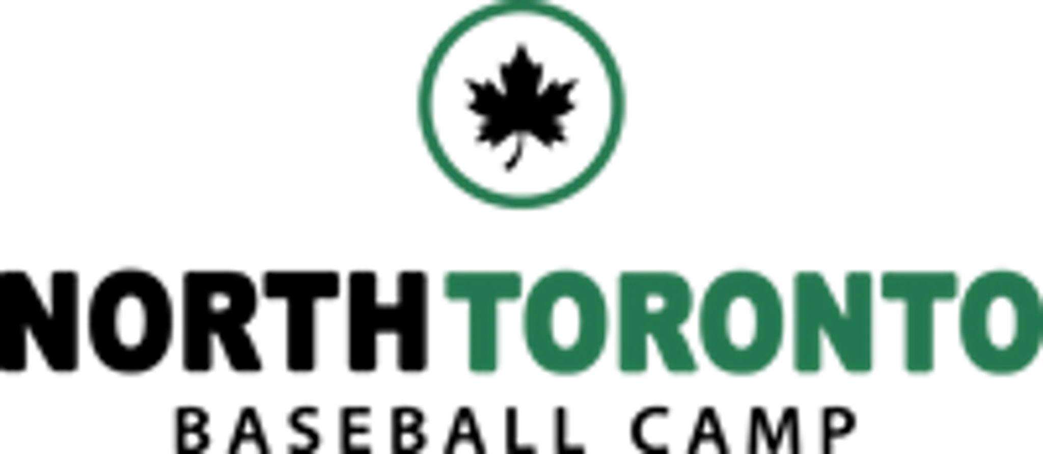 North Toronto Baseball Camp