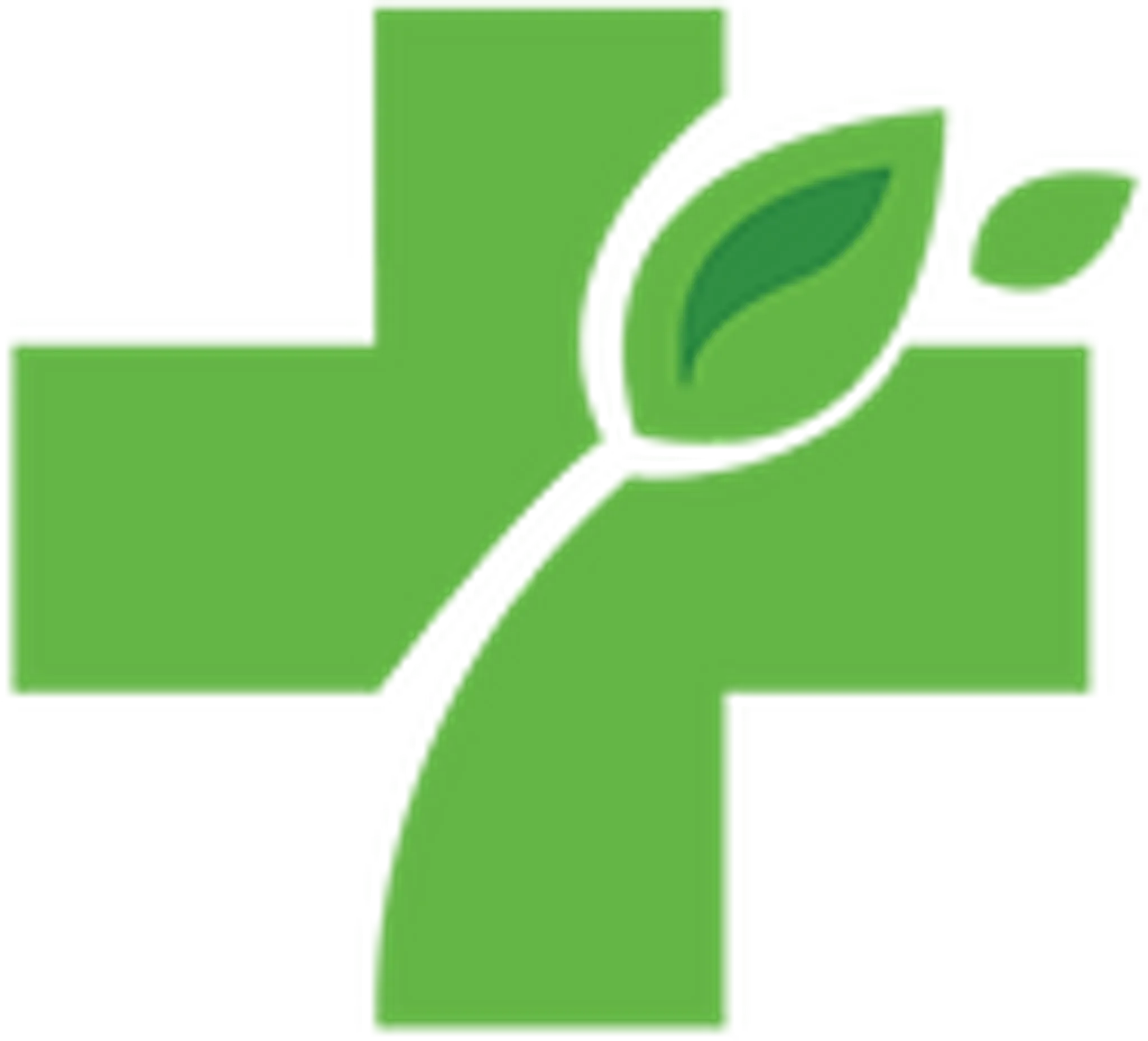 iWellness.ca Rehab & Wellness Clinic: Dr. John Balkansky