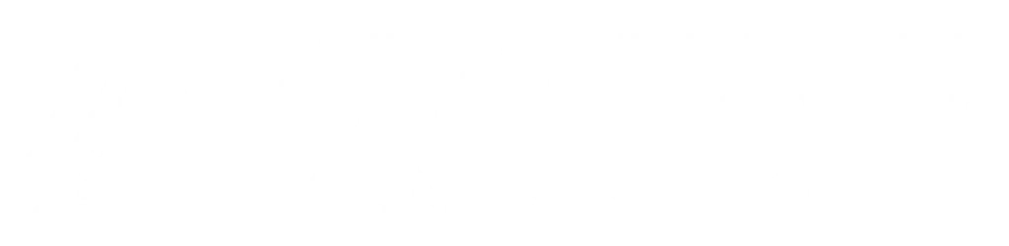 Araguacu Latin Dance Company