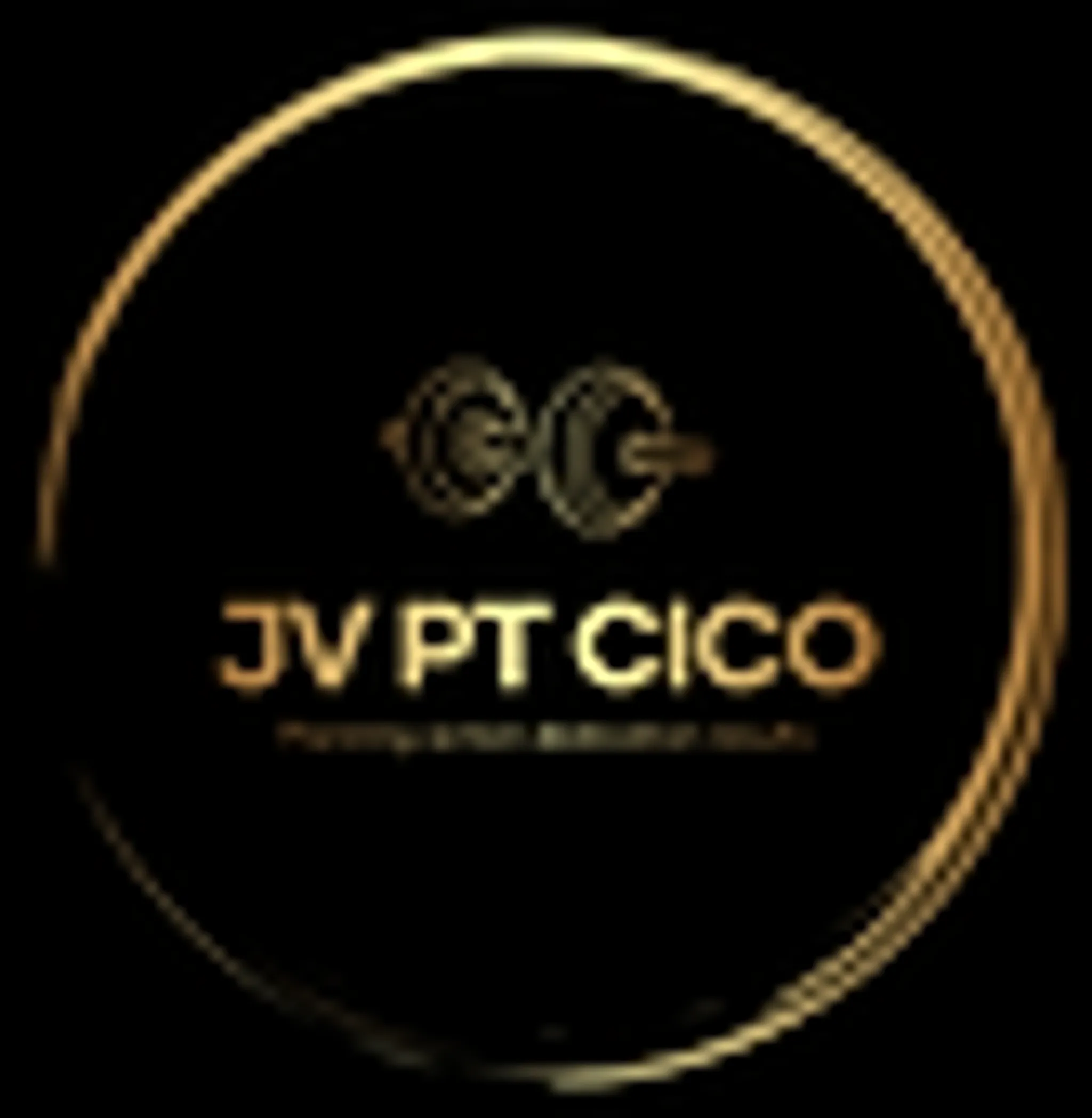 JV PT CICO