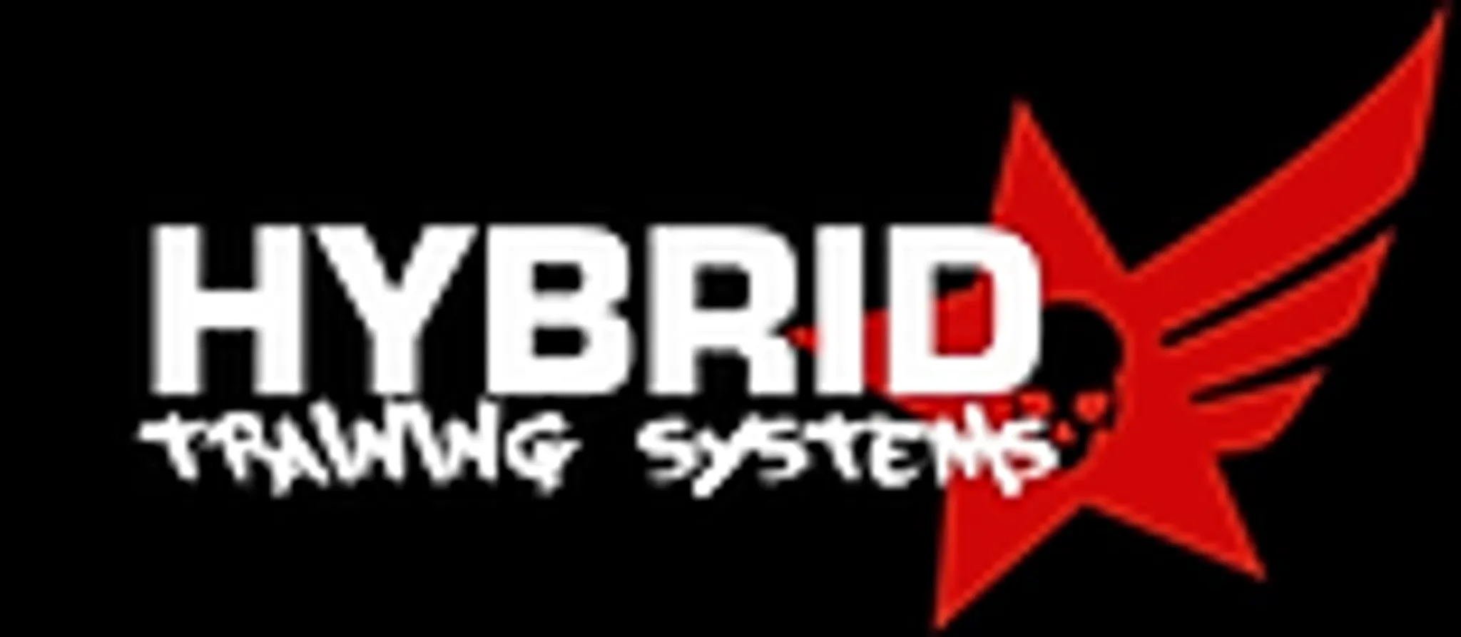 Hybrid Training Systems