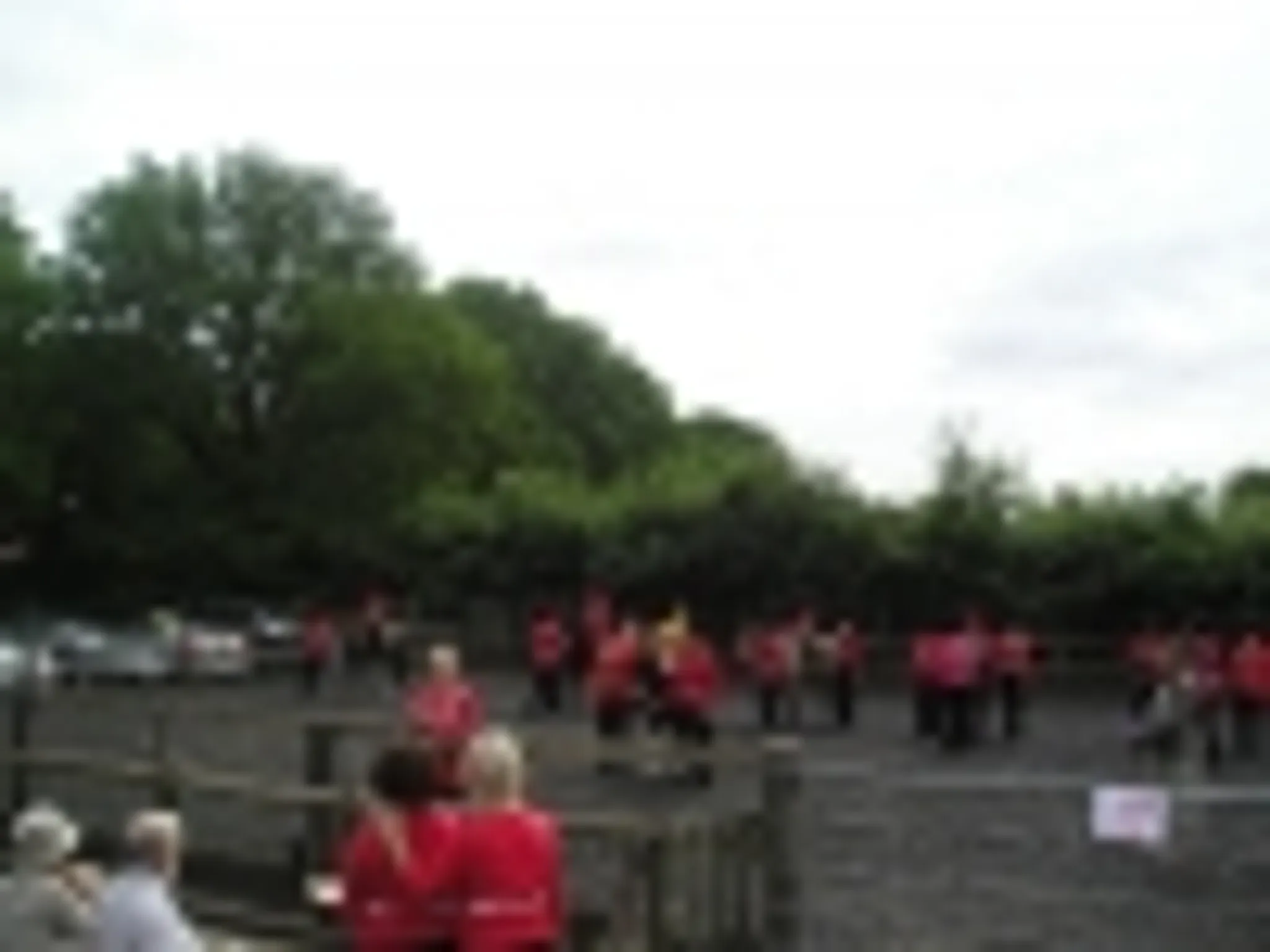 Riding School Ponies Green Cottage RDA