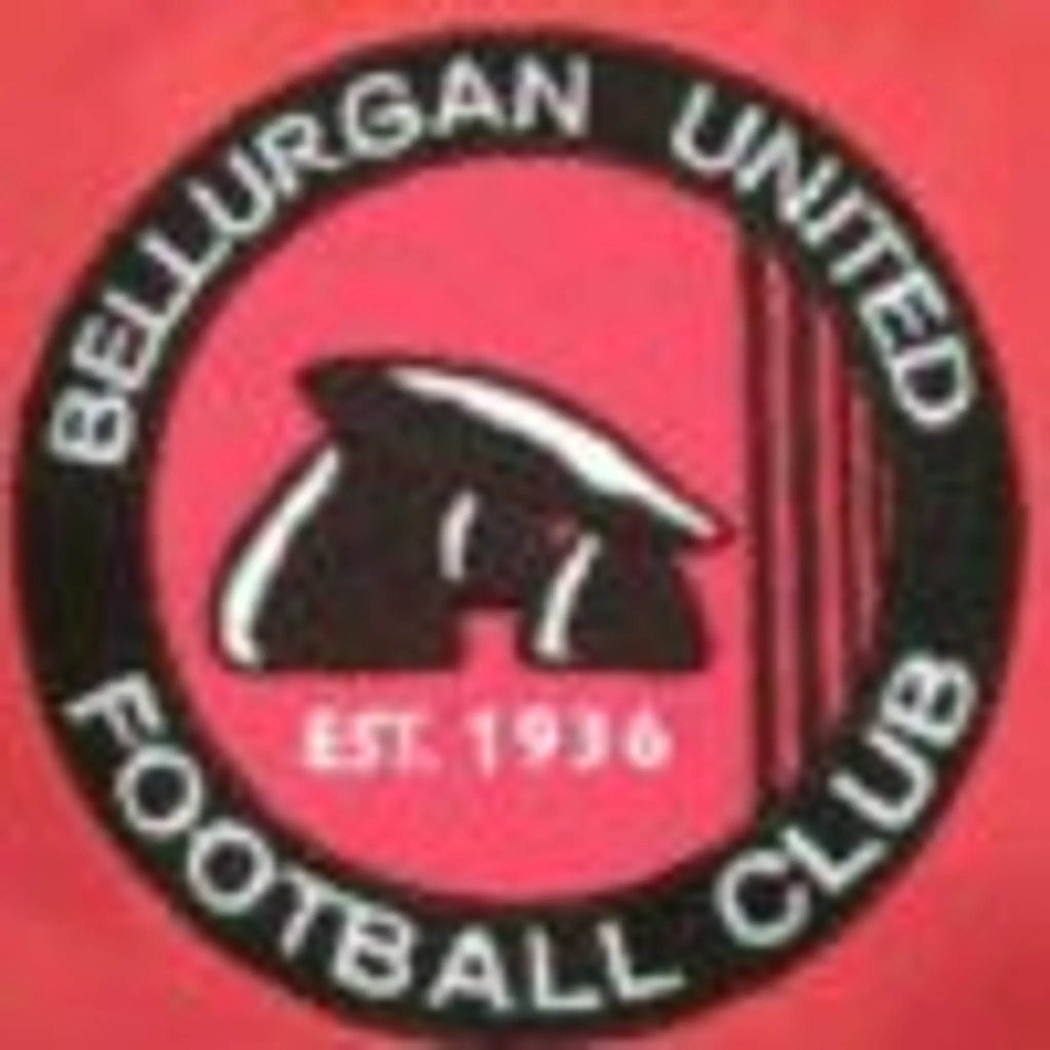Bellurgan United Football Club