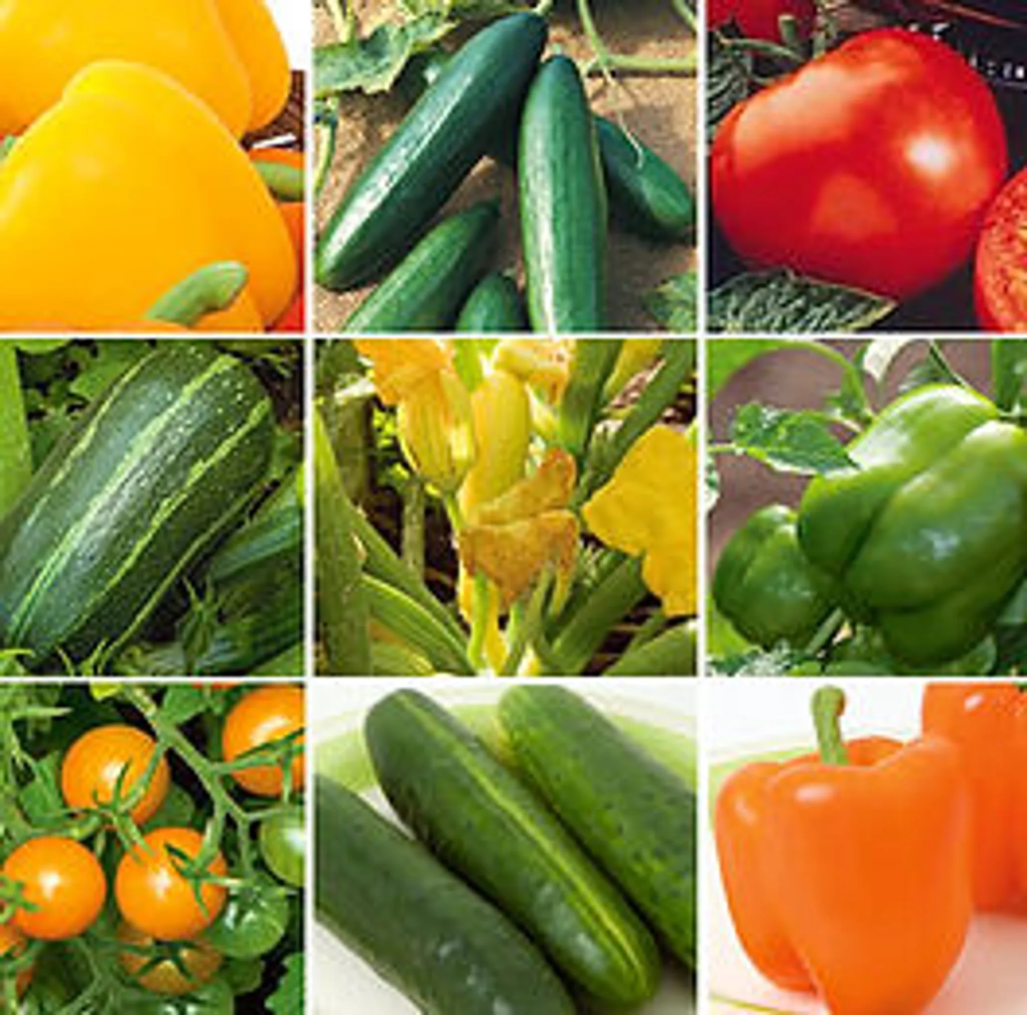 Hudson Landscaping Pty. Ltd.