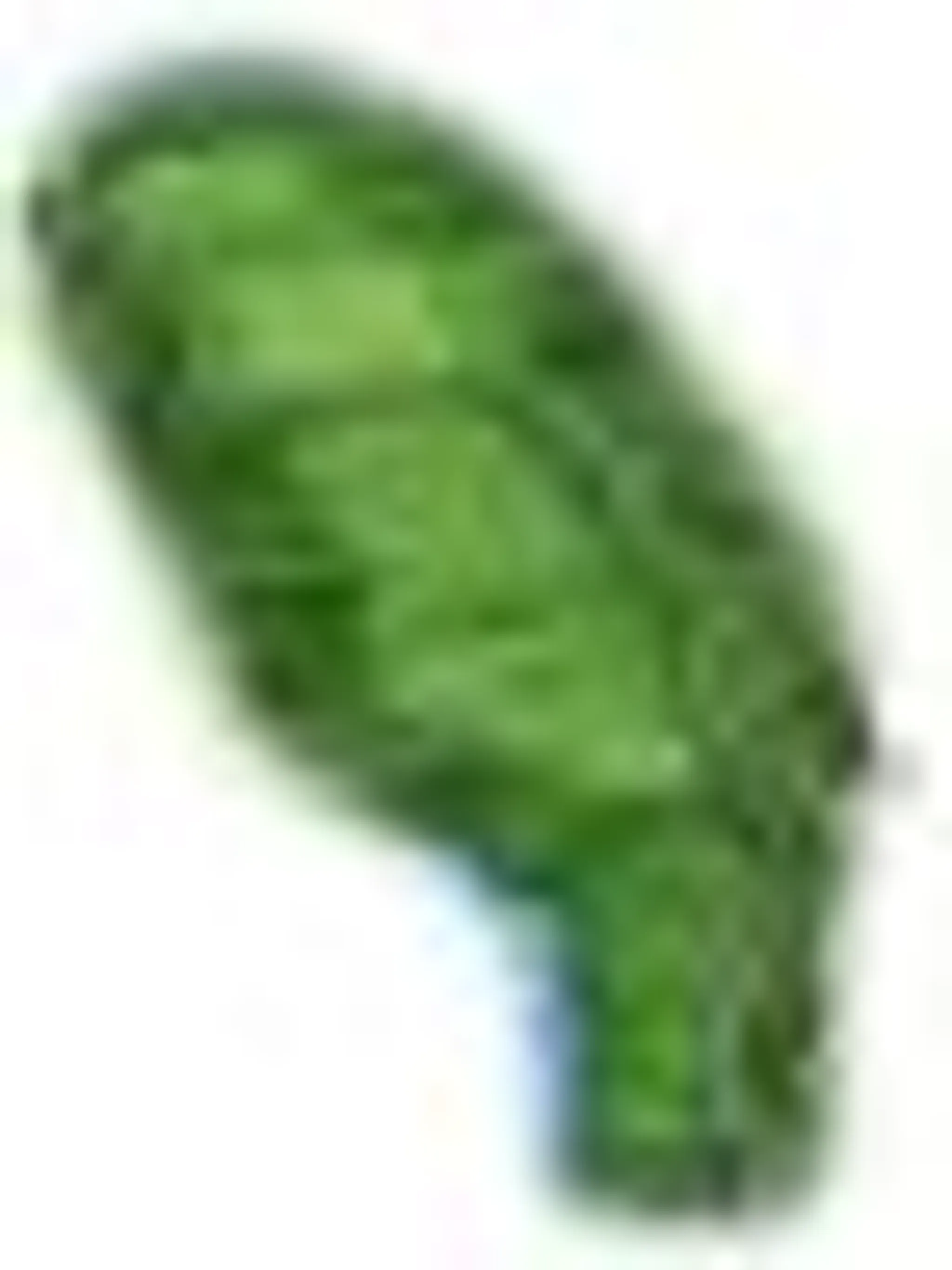 Big Sky Golf Club and Fescues Restaurant