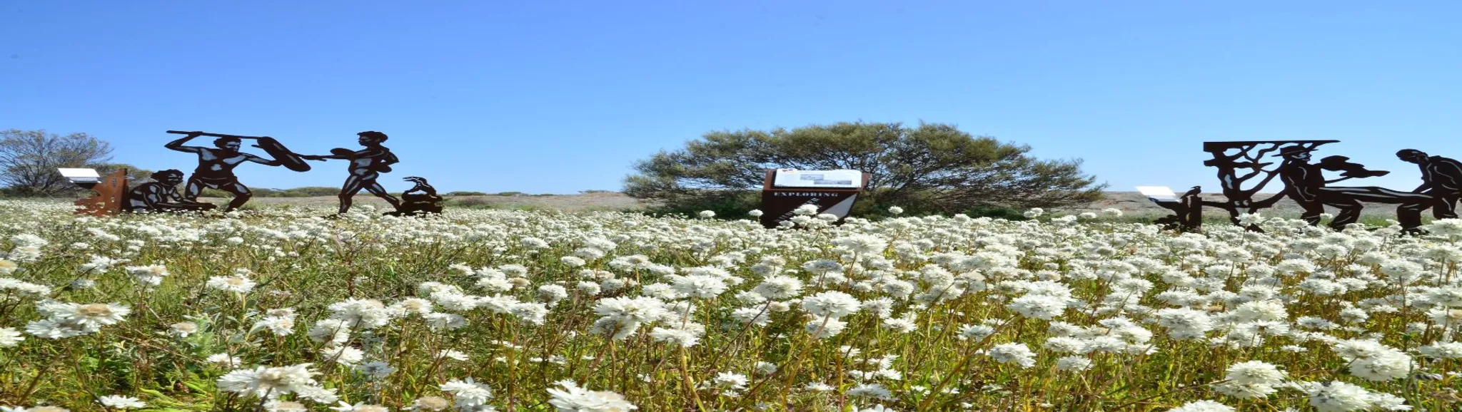 Morawa Tigers VS Mingenew (Home Game)