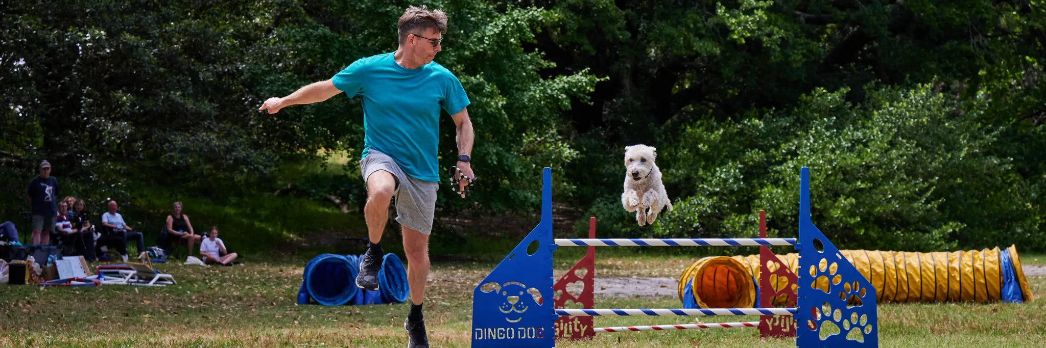 Pawsitive Vibe Fitness