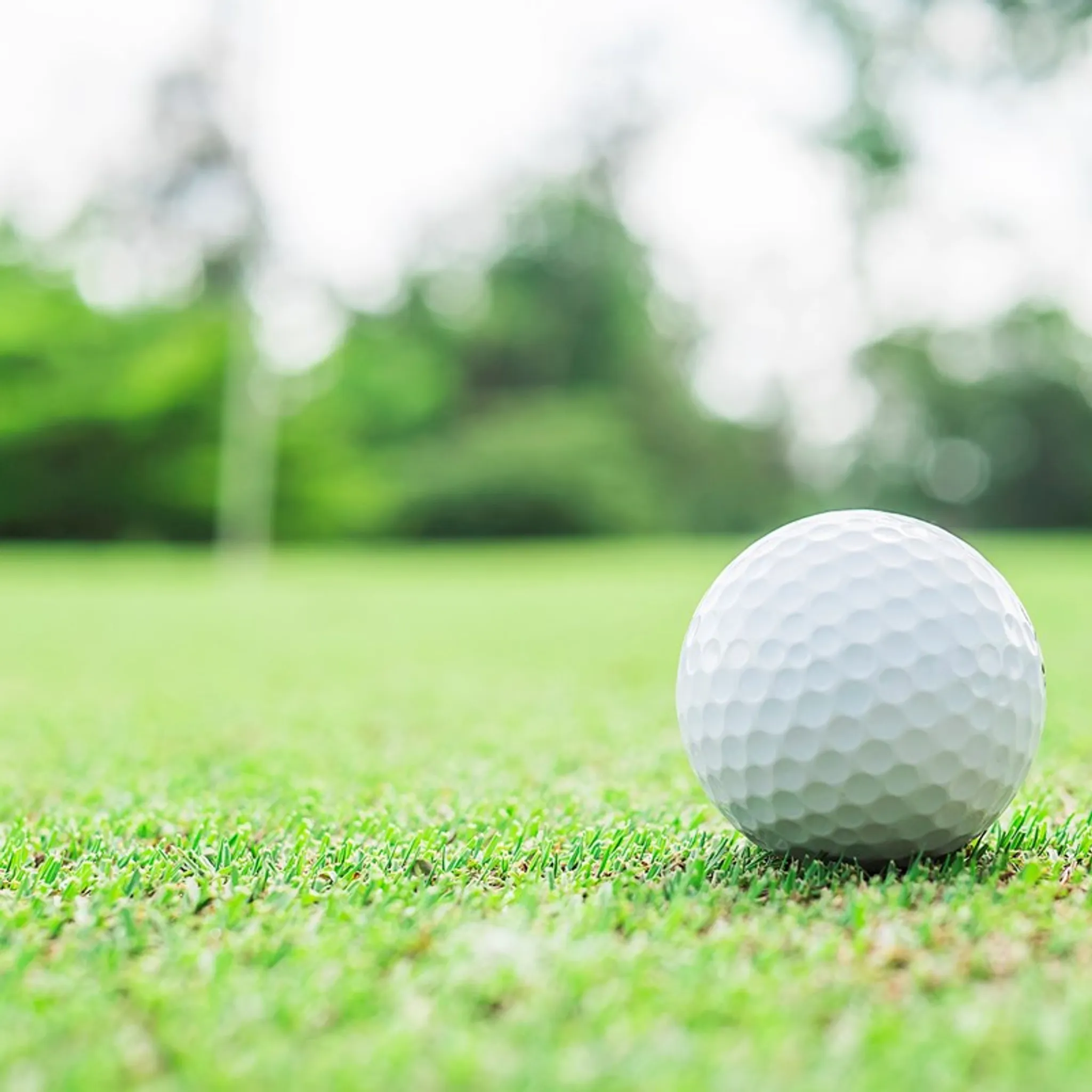 Golf and Bowling Greens