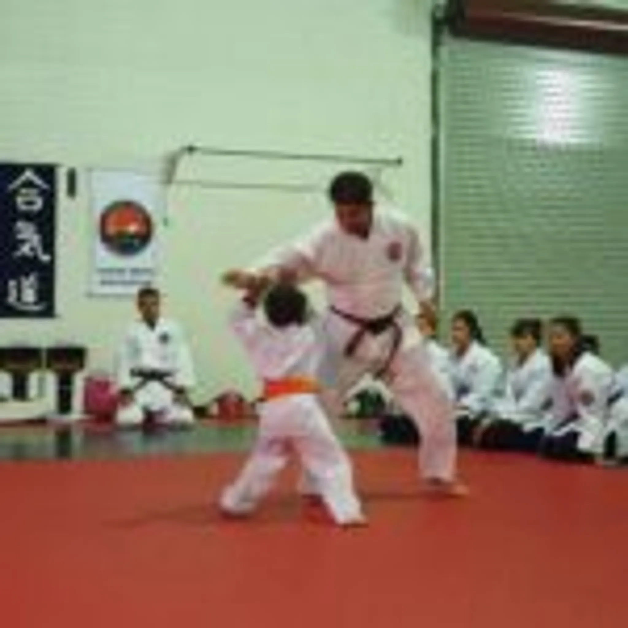 Yamato Aikido International