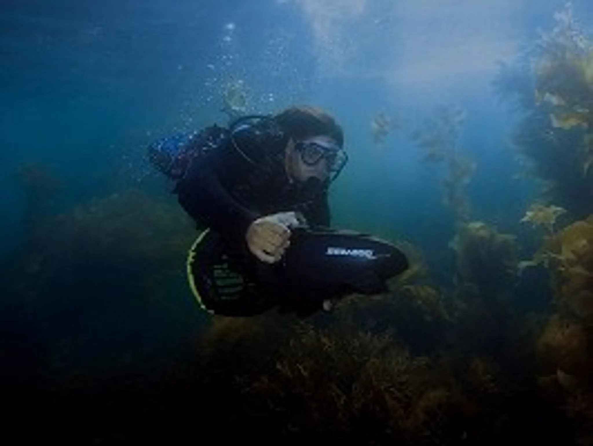 Above & Below Dive Centre