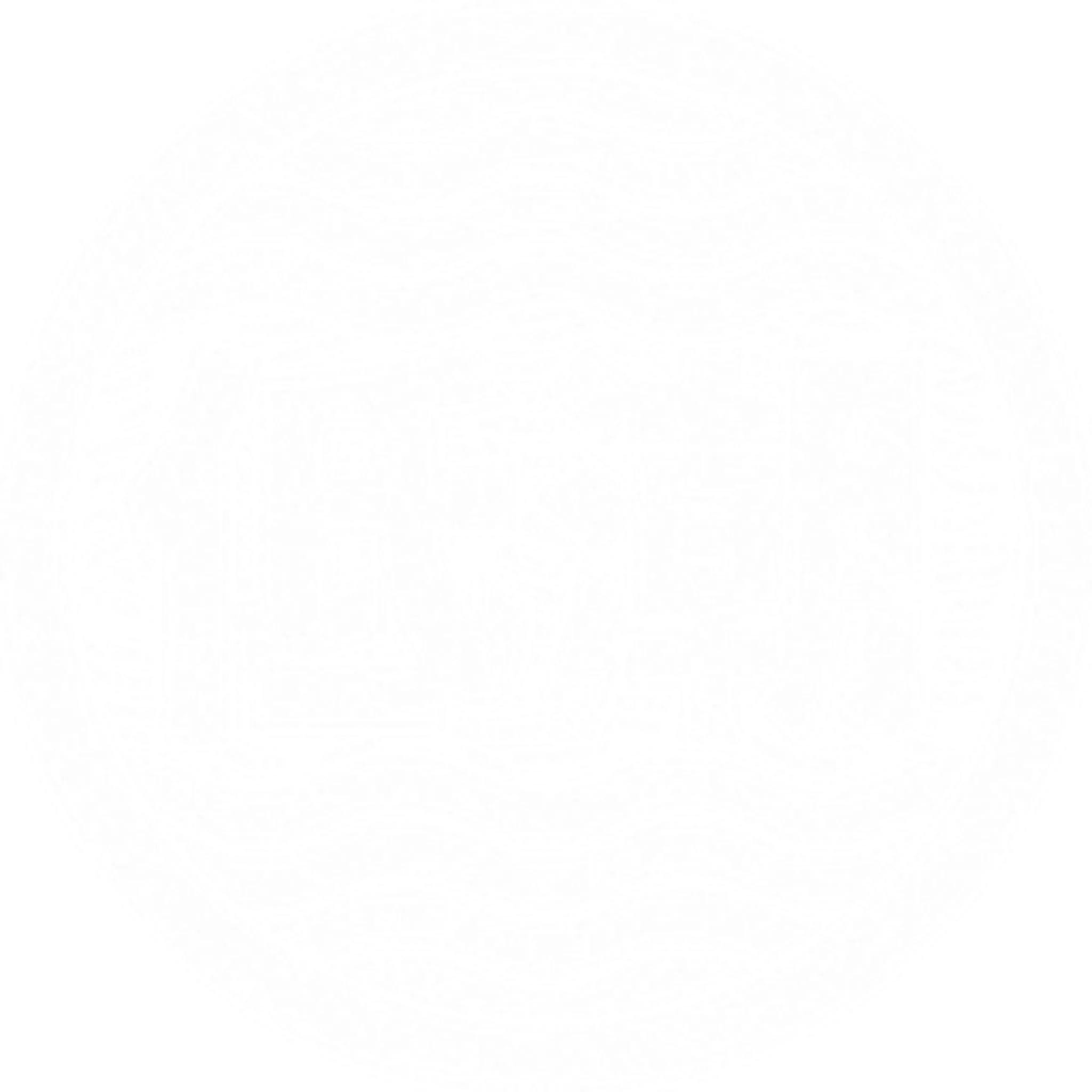 Low Tide Brazilian Jiu Jitsu