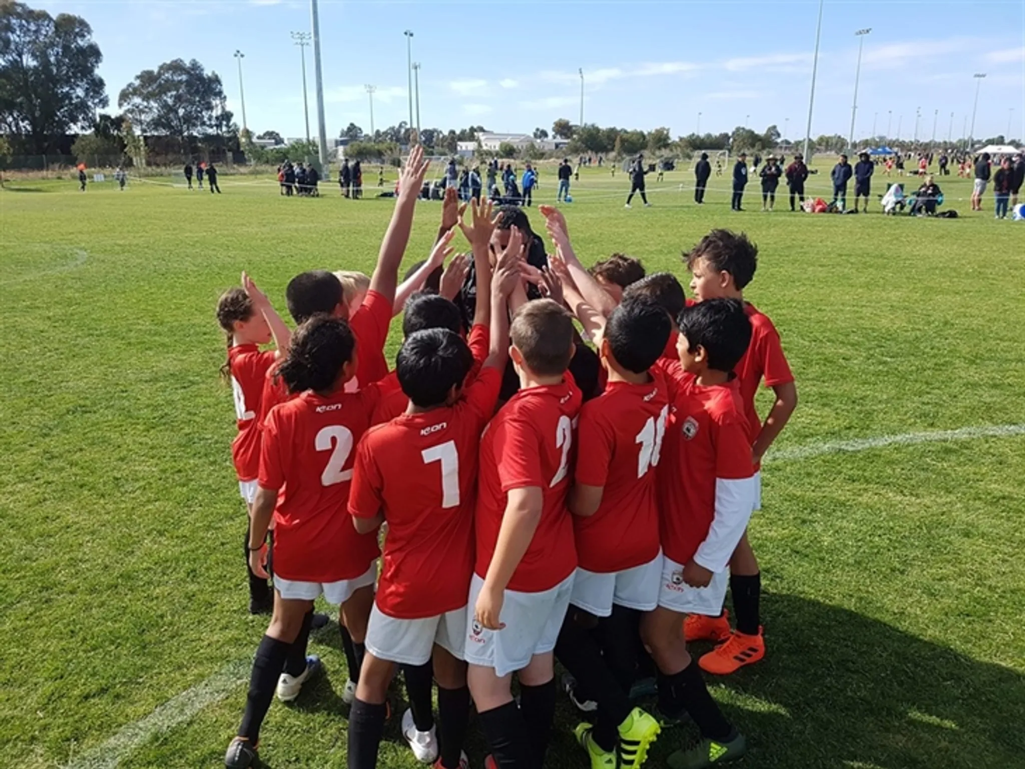 Hampton Park United Sparrows FC Registration