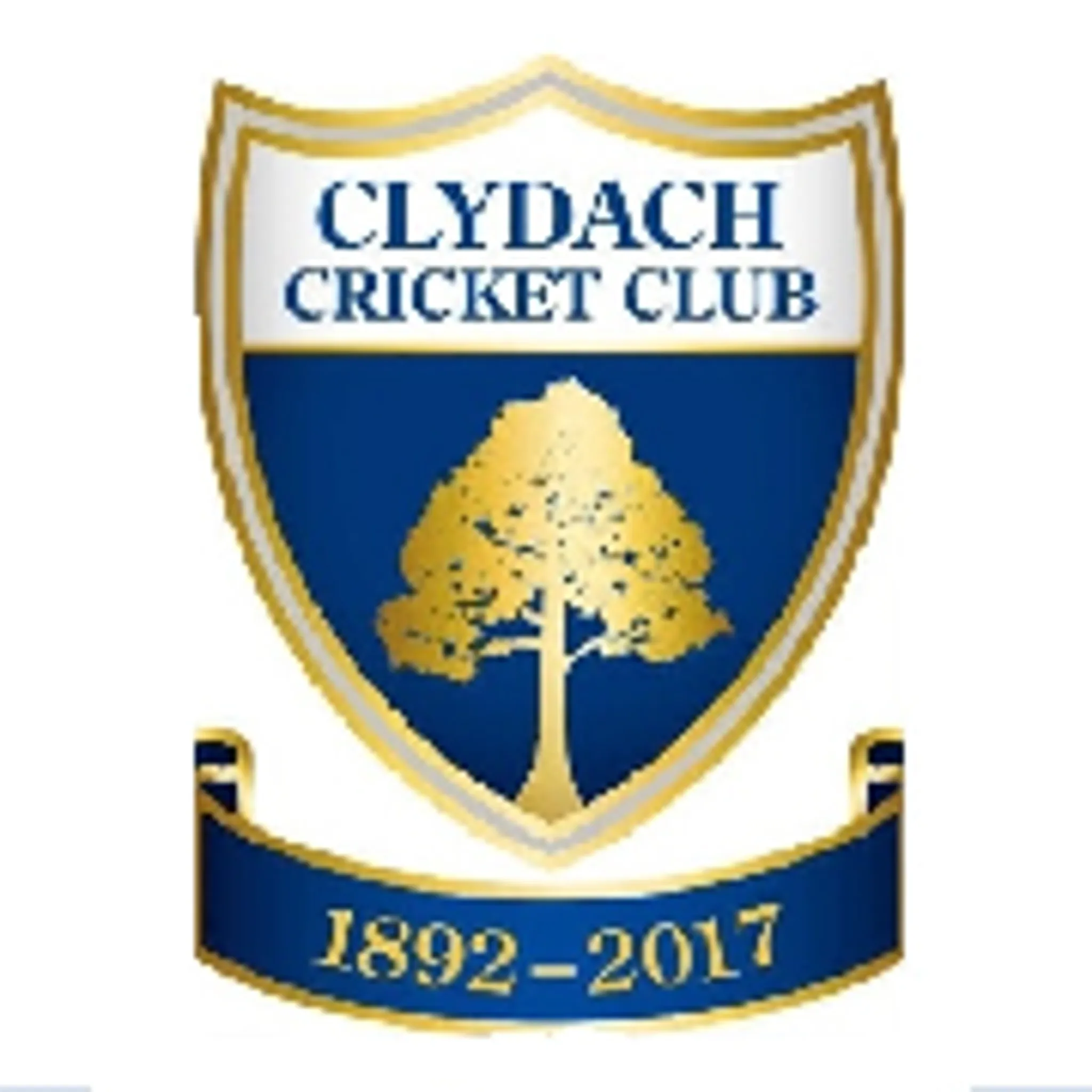 Port Talbot Town Cricket Club