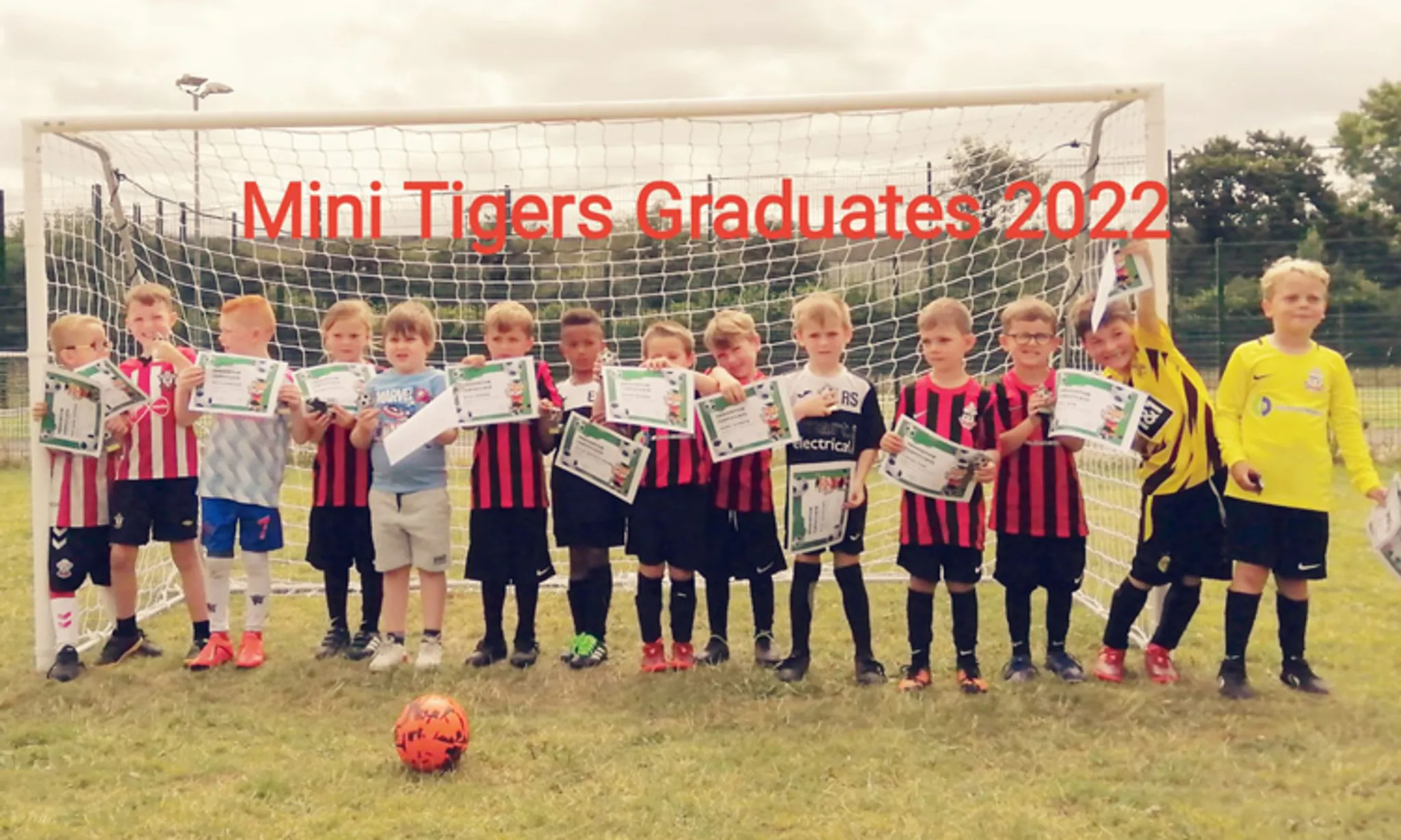 Totton & Eling FC Mini Tigers