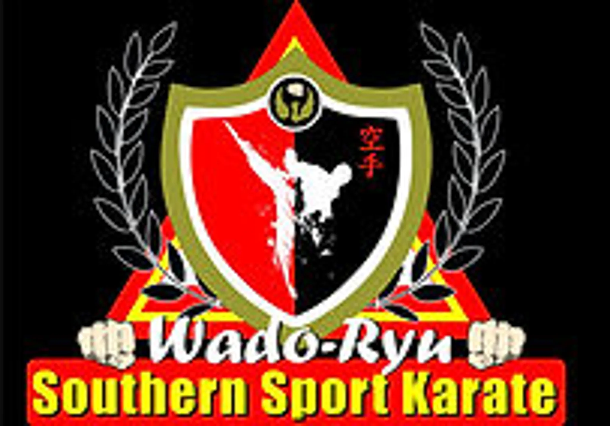 Southern Sport Karate Organisation