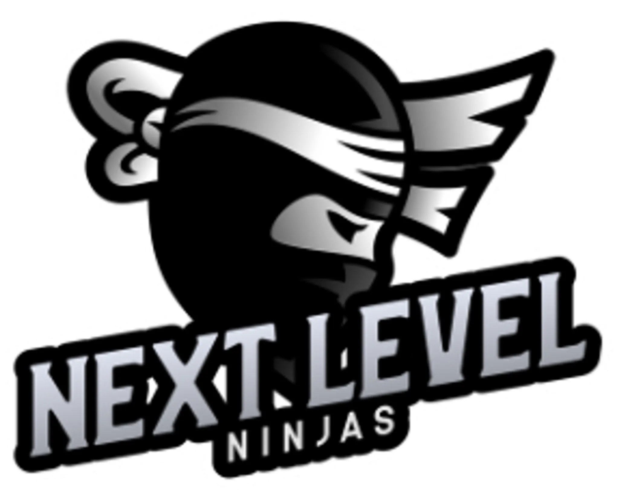 The Next Level Ninjas