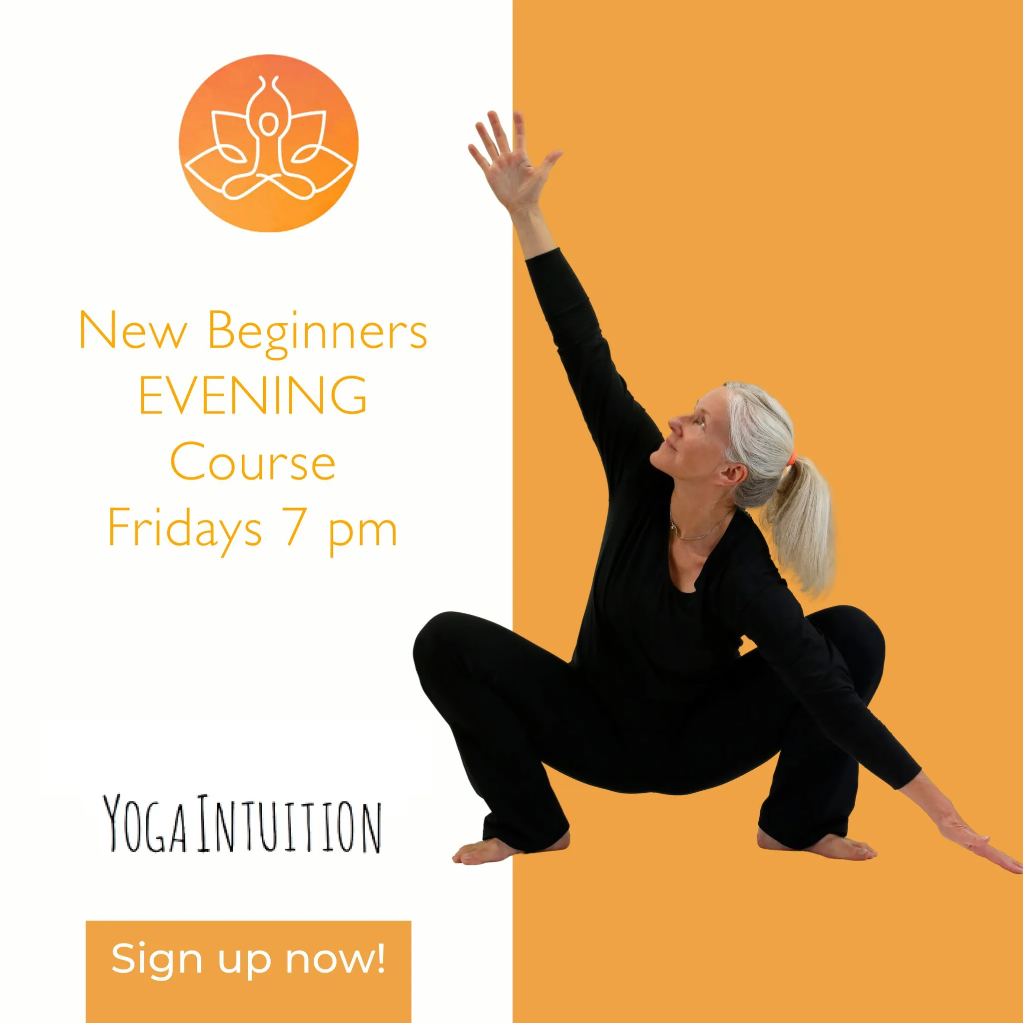 Beginners Yoga Course
