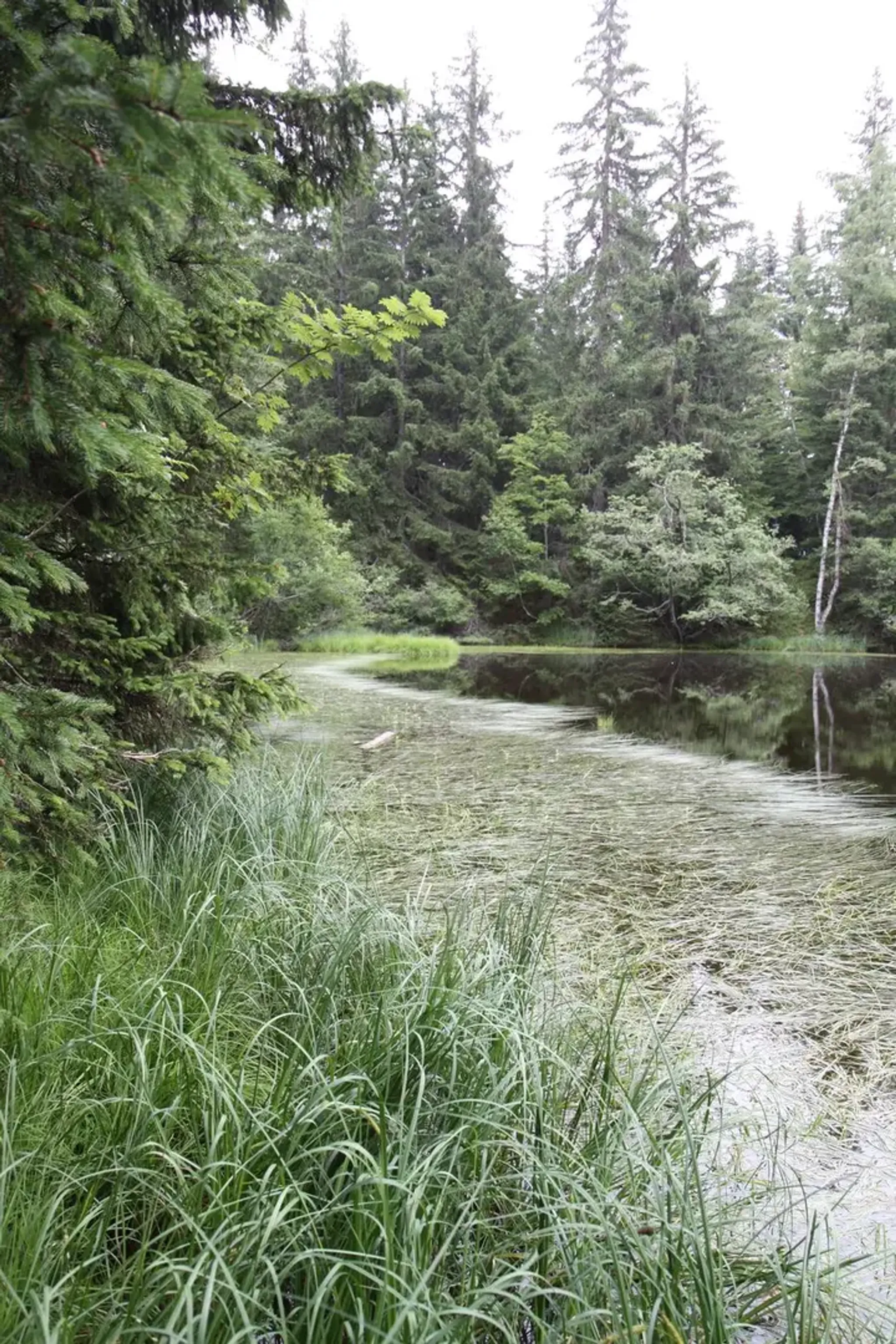 Trail Estival des 7 Laux