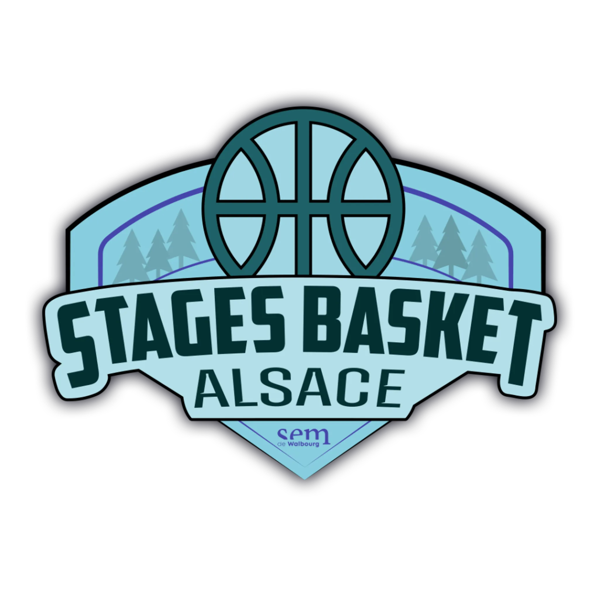 Internships basketball in Haguenau