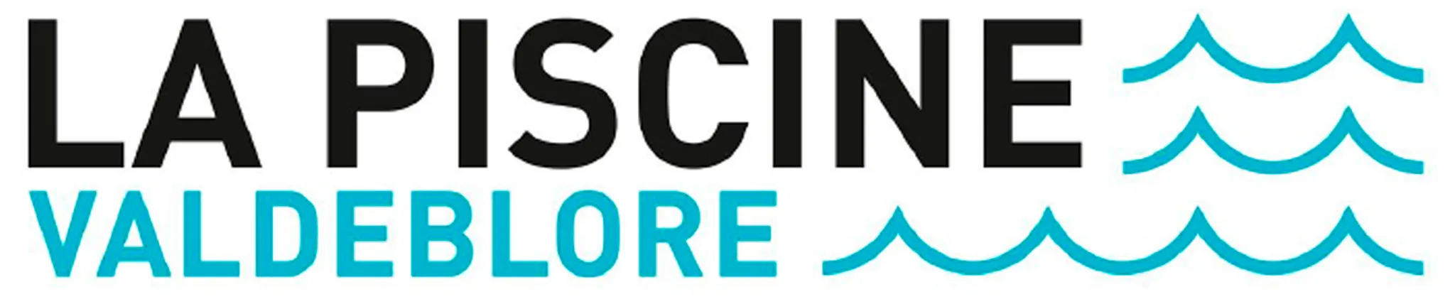 Société Economie Mixte Cimes Mercantour La Colmiane