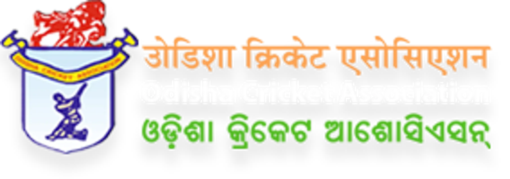 Odisha Cricket Association