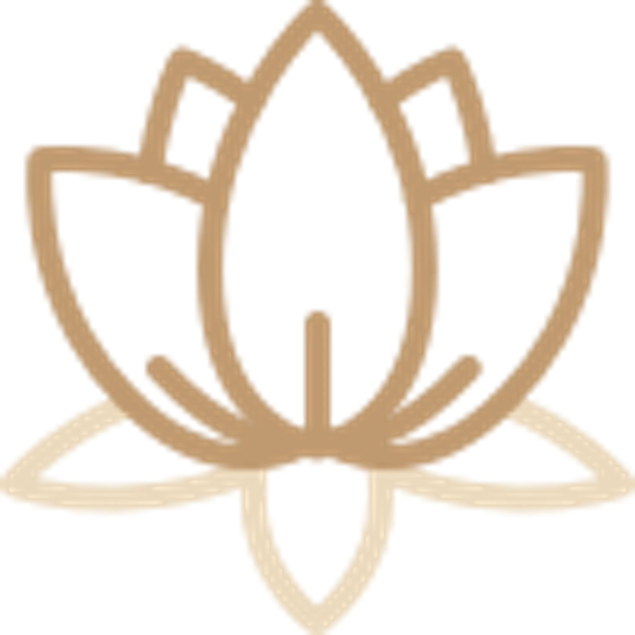 Vanessa Shribman Iyengar Yoga