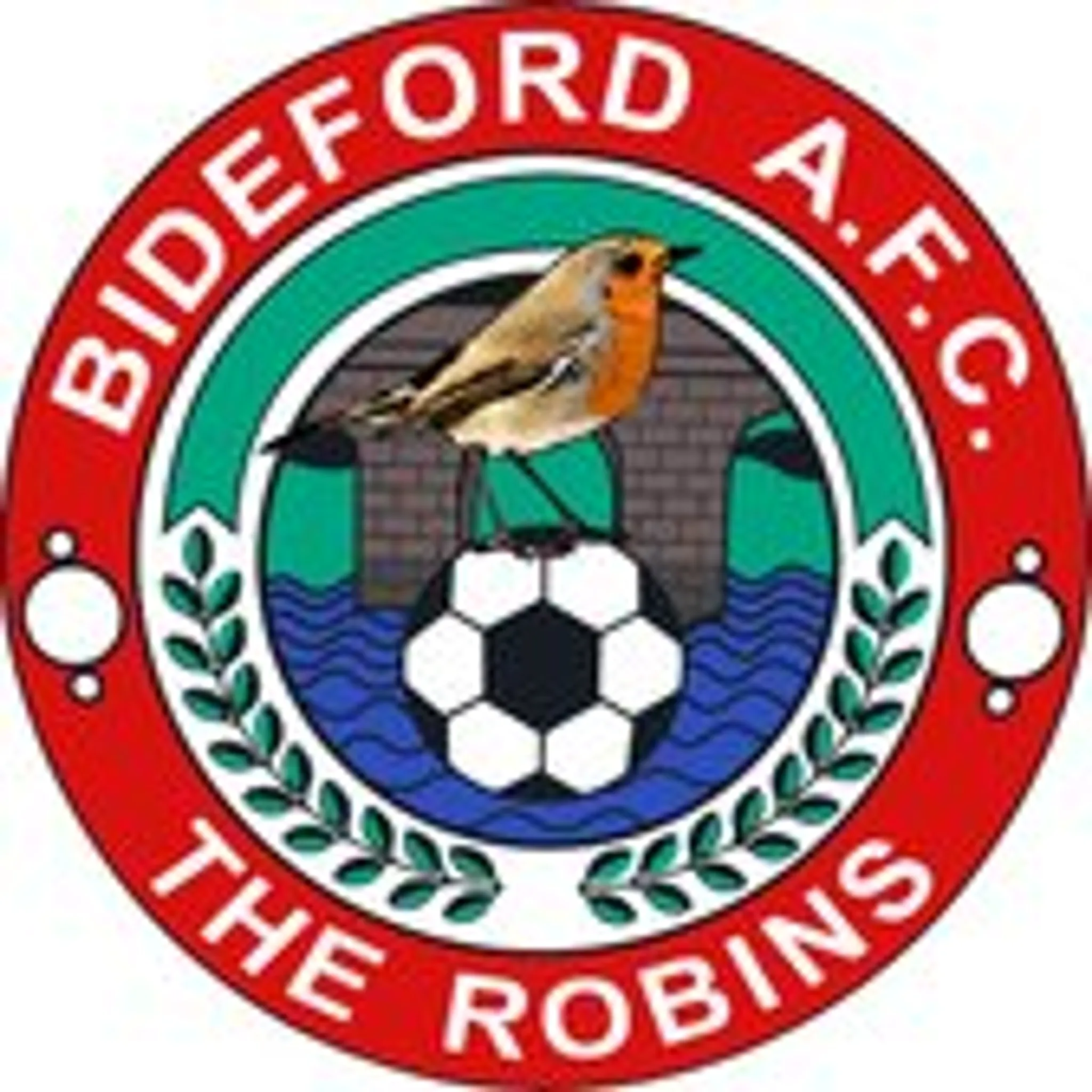 Cinderford Town Football Club