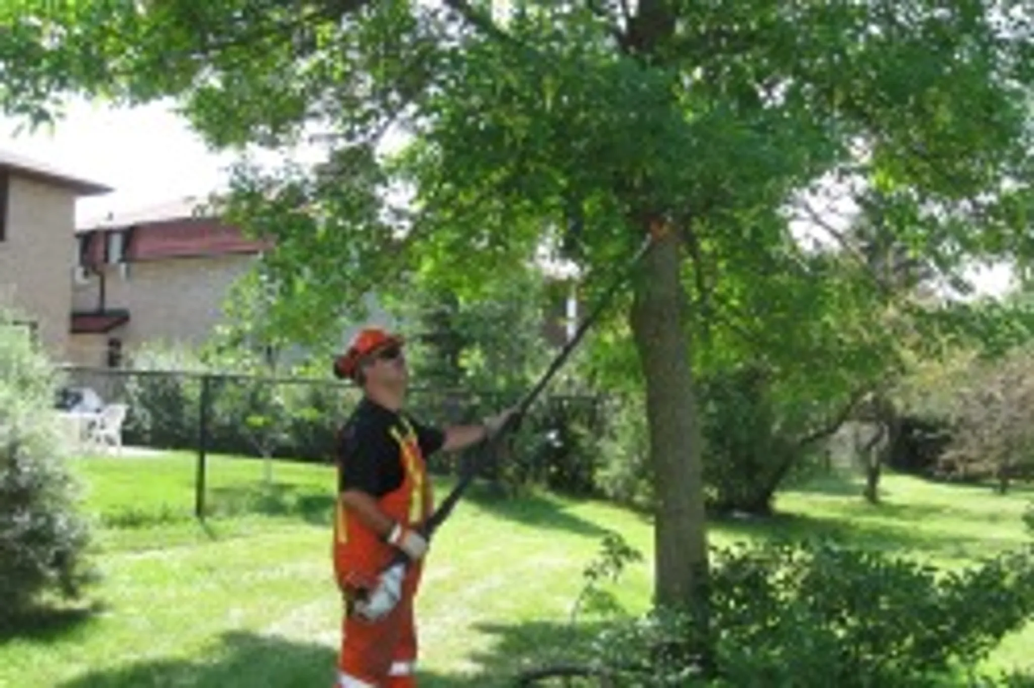 Chancellor Park Rink