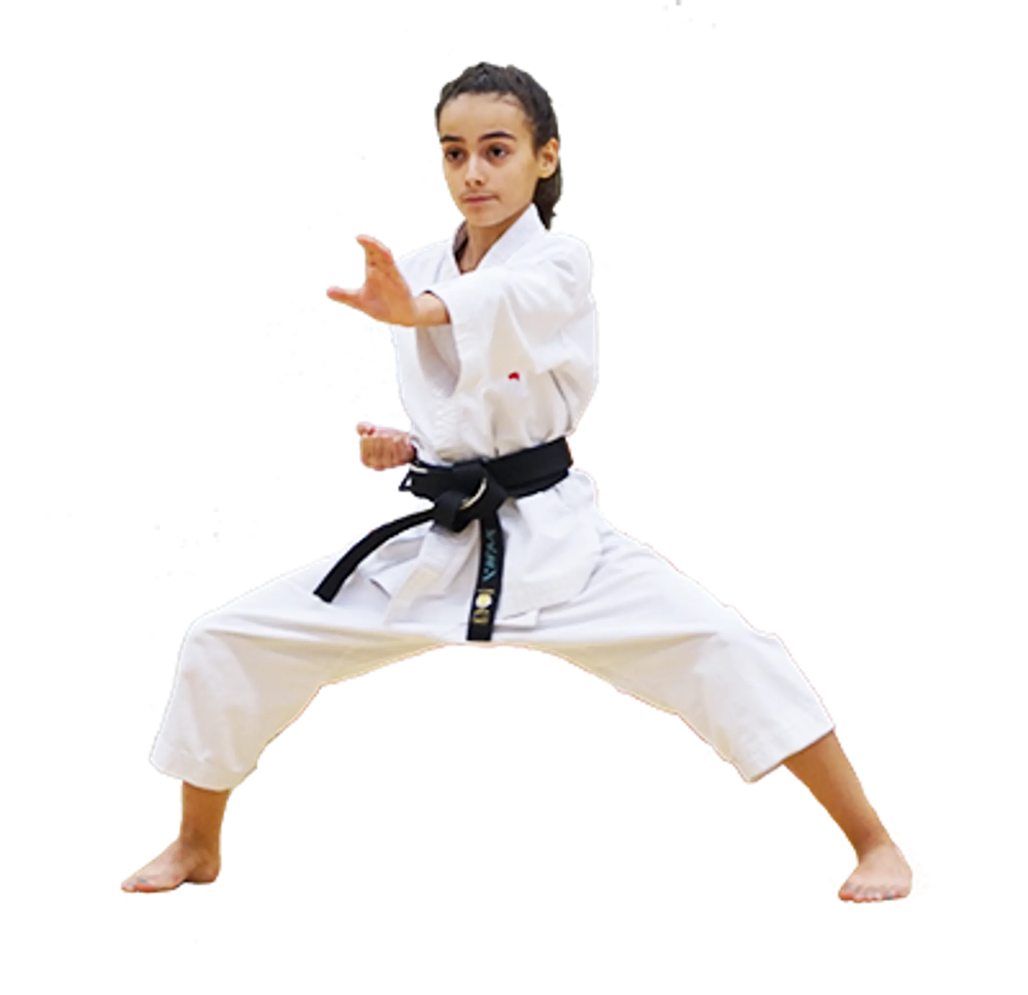 Tairyoku Shotokan Karate Club