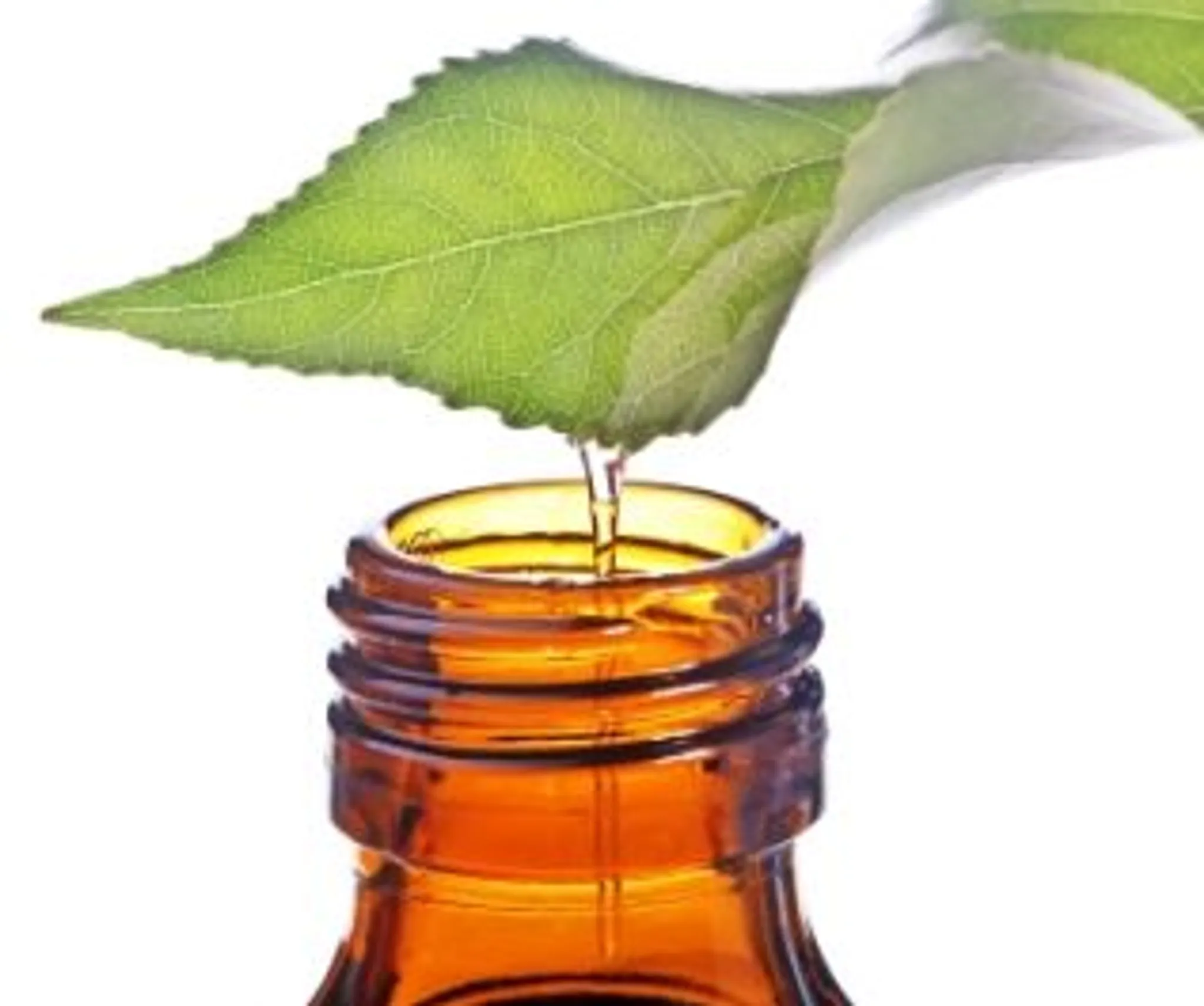 Health Creation & Dr Rosy Daniel