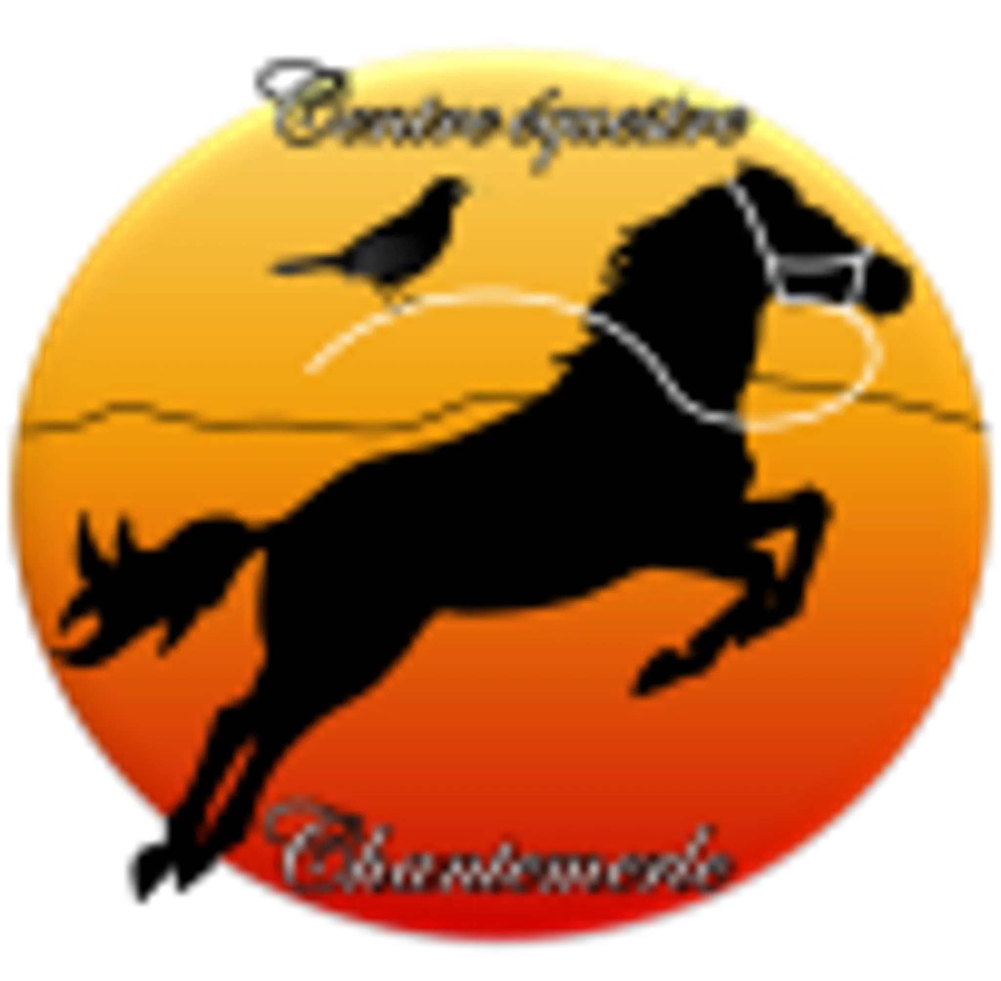 Centre Equestre et Poney-club de Chantemerle