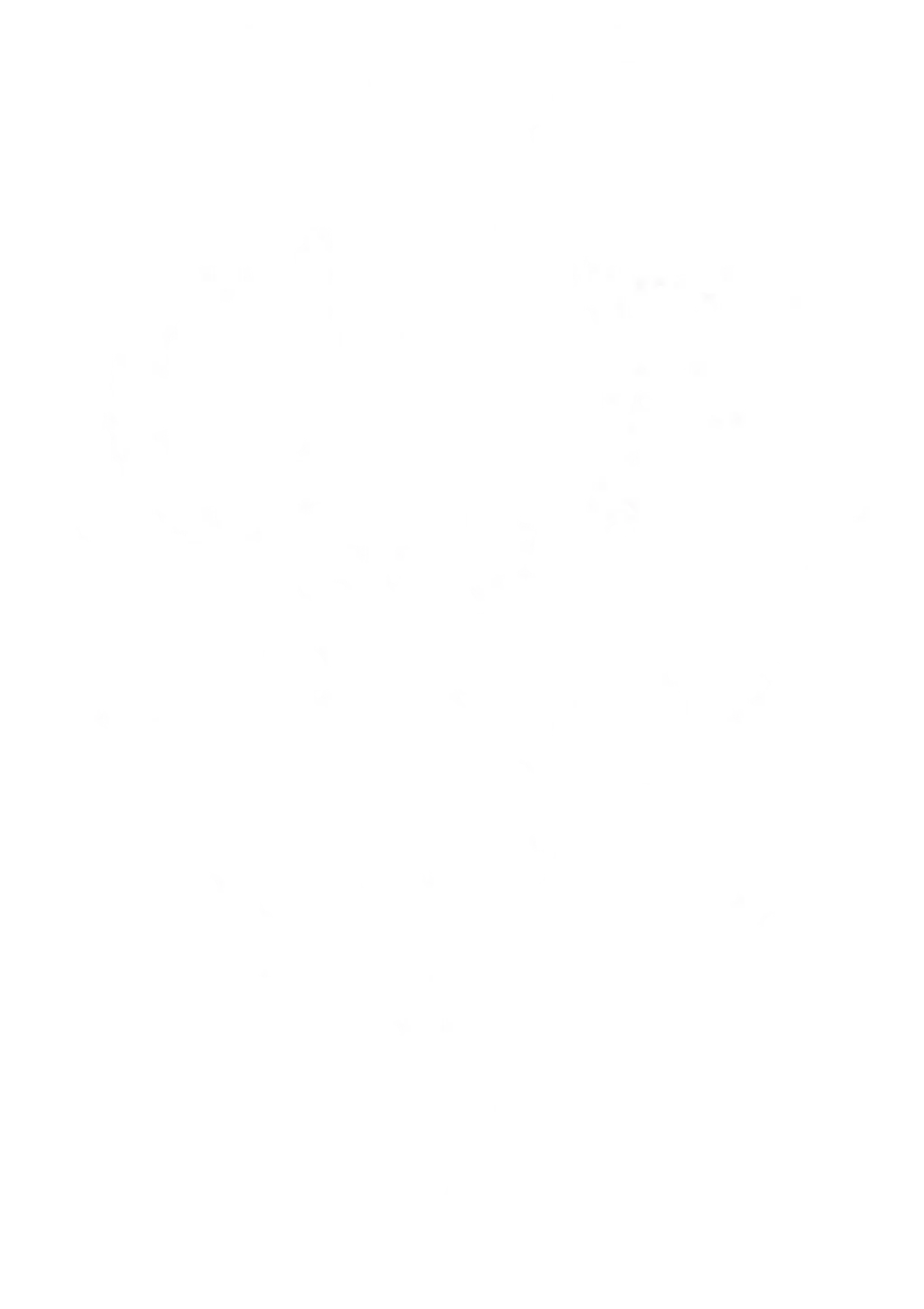 The Comprehensive Yoga Fellowship