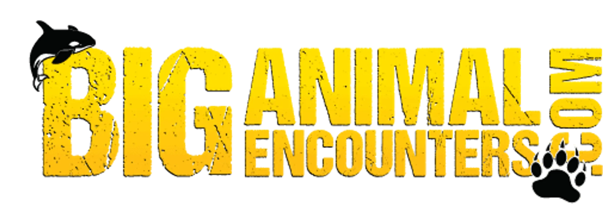 Big Animal Encounters