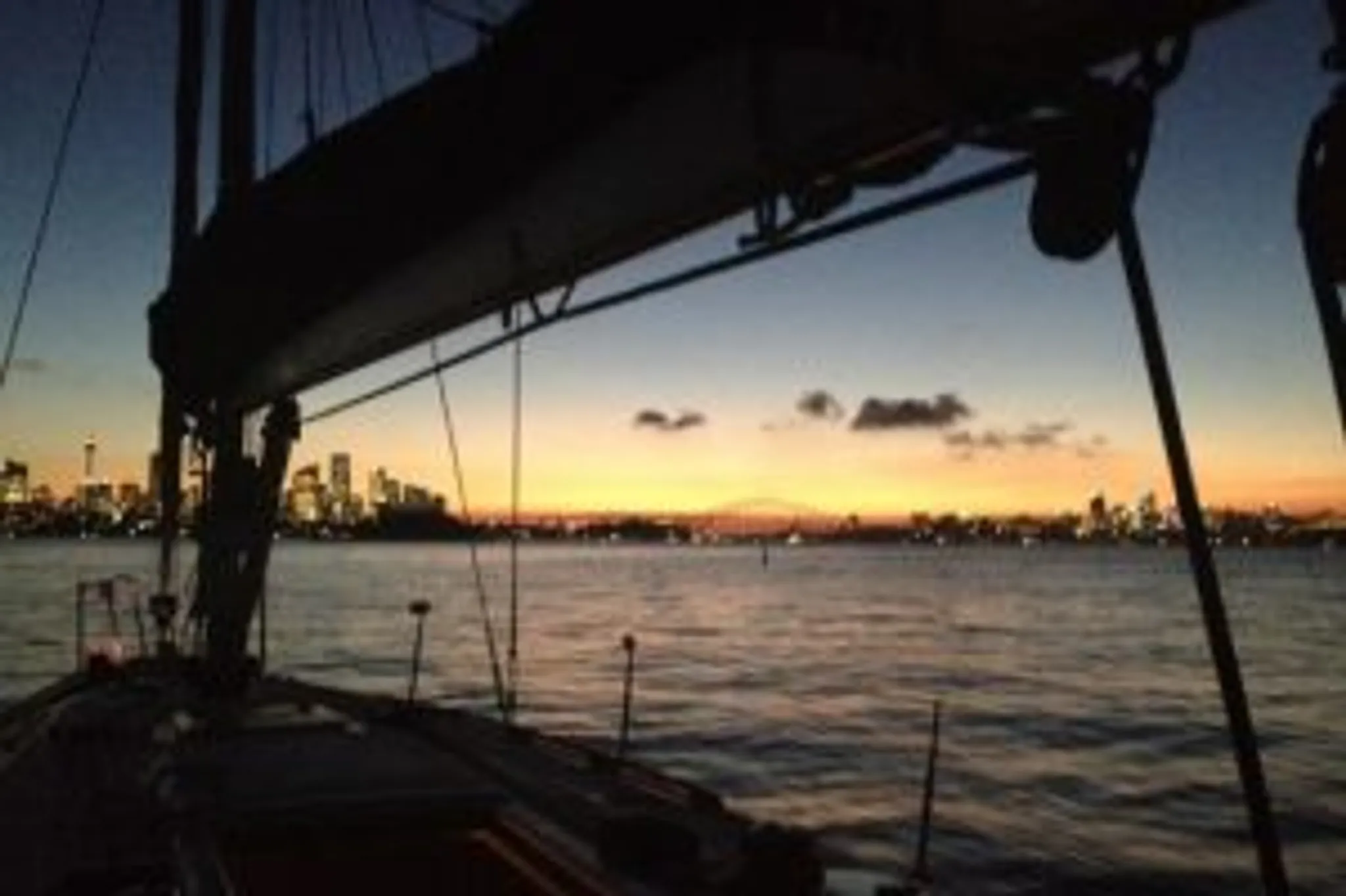 Bledisloe 2024 Wallabies v All Blacks – Live on the Big Screen