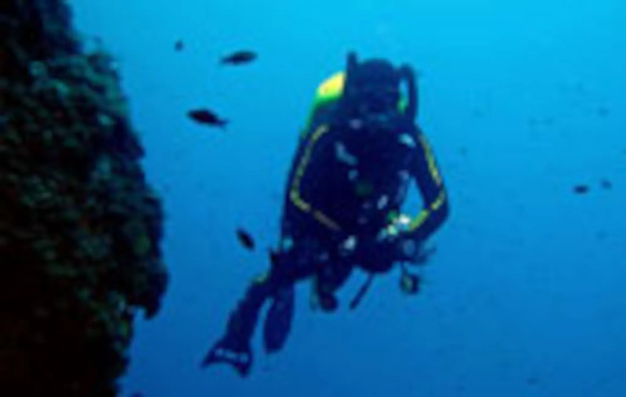 Open Water Diver Course