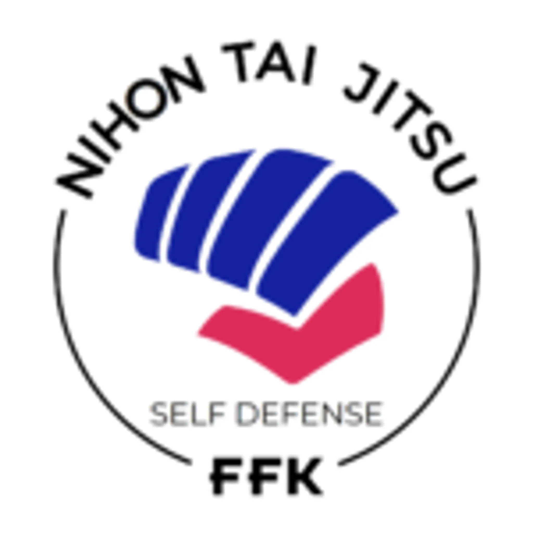 Nihon Tai Jitsu Des Thuits