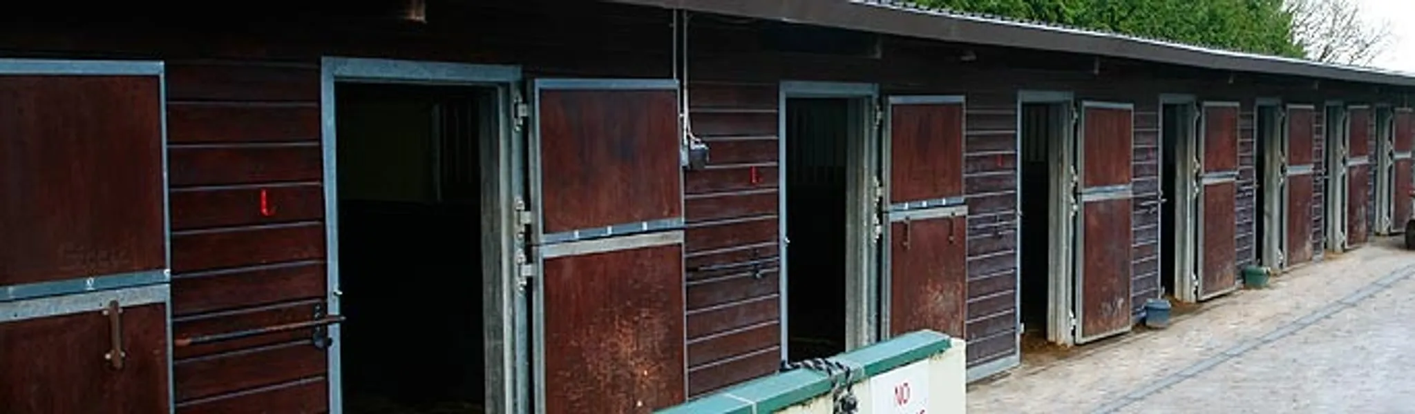 Summer Pony Camp 2024