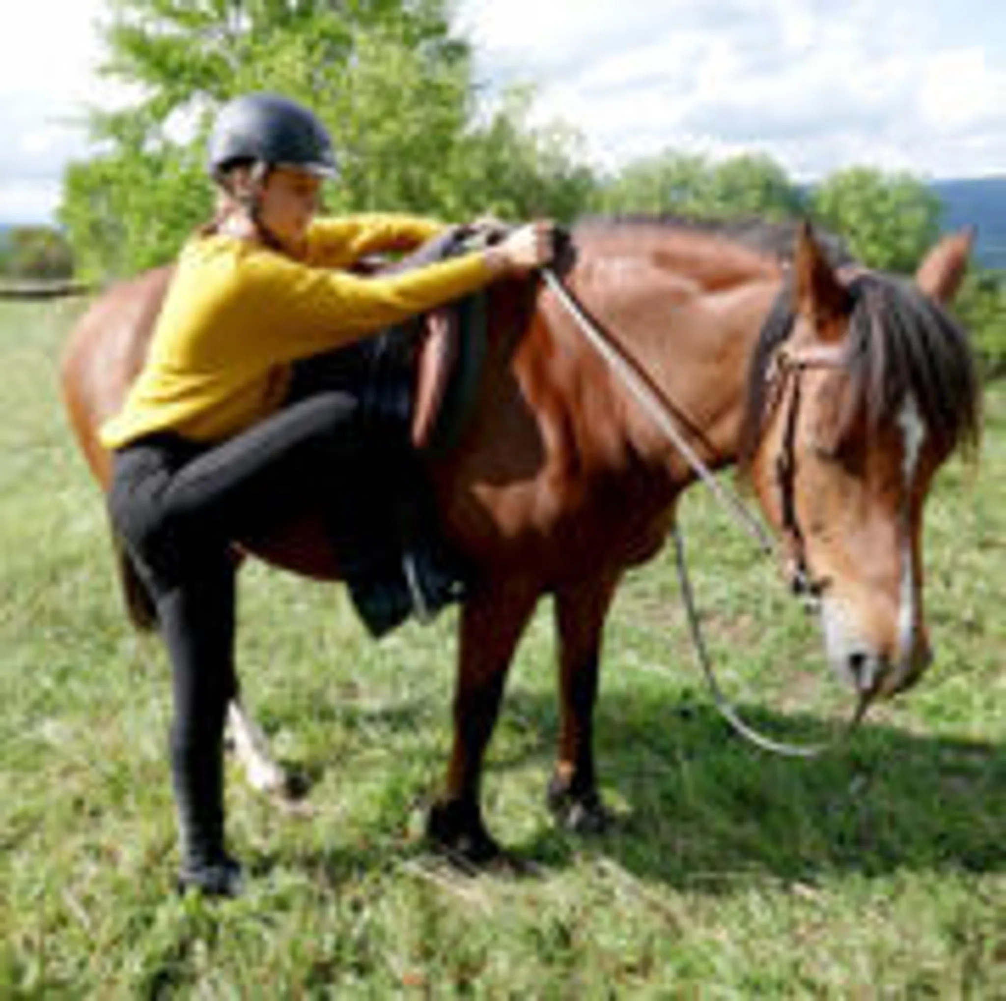 Cavalerie De La Petite Montagne - Juracheval