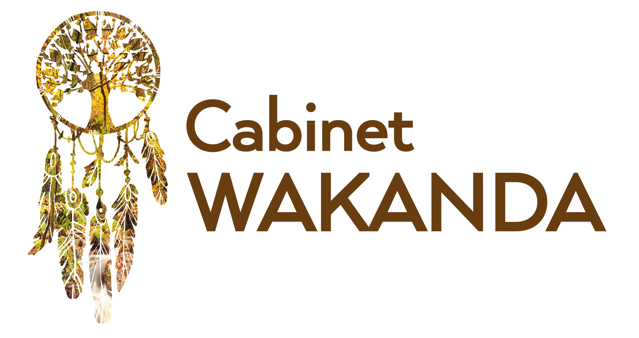 Cabinet Wakanda - Center Welfare And Training Center