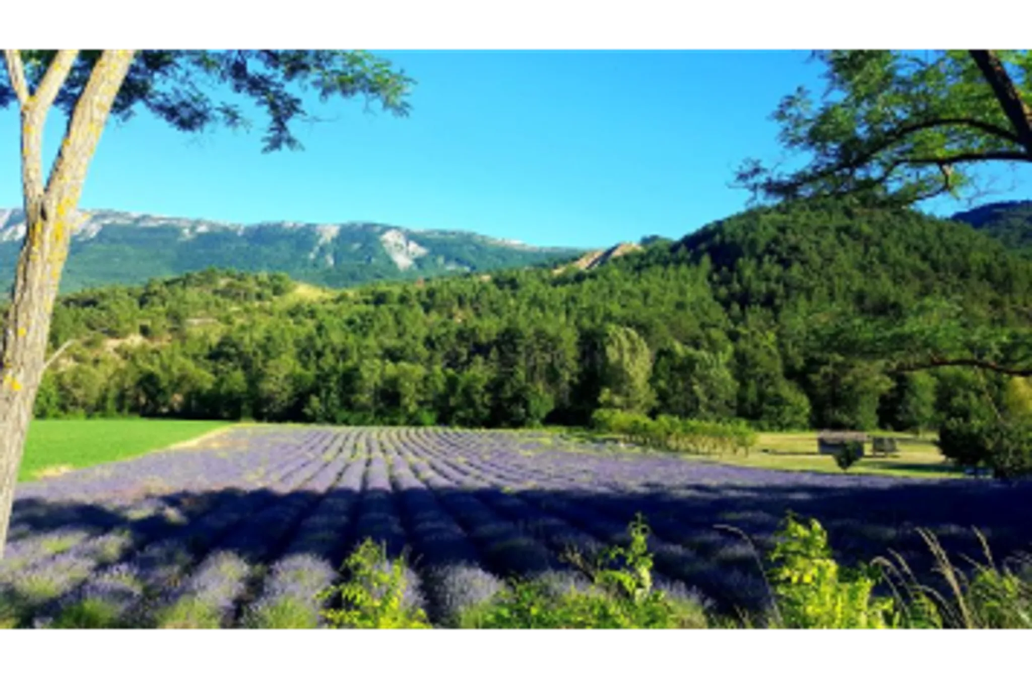 Écomusée "La vigne autrefois"