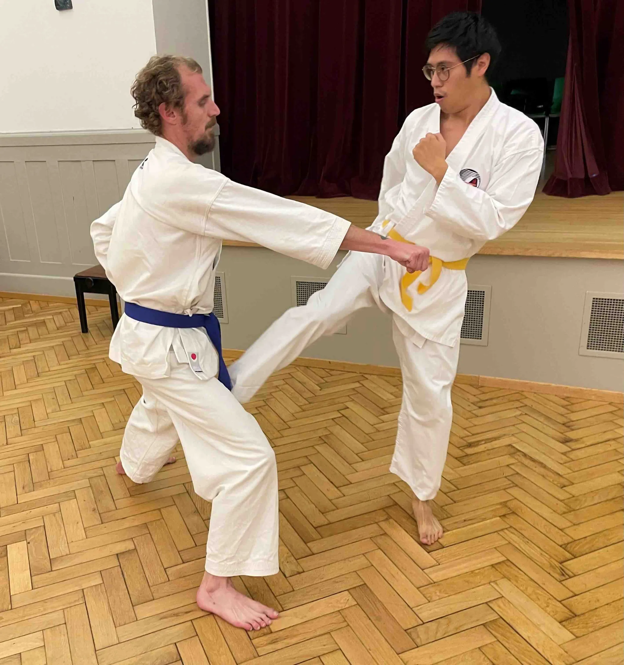 Shin'kyuu Dojo Karate-Do