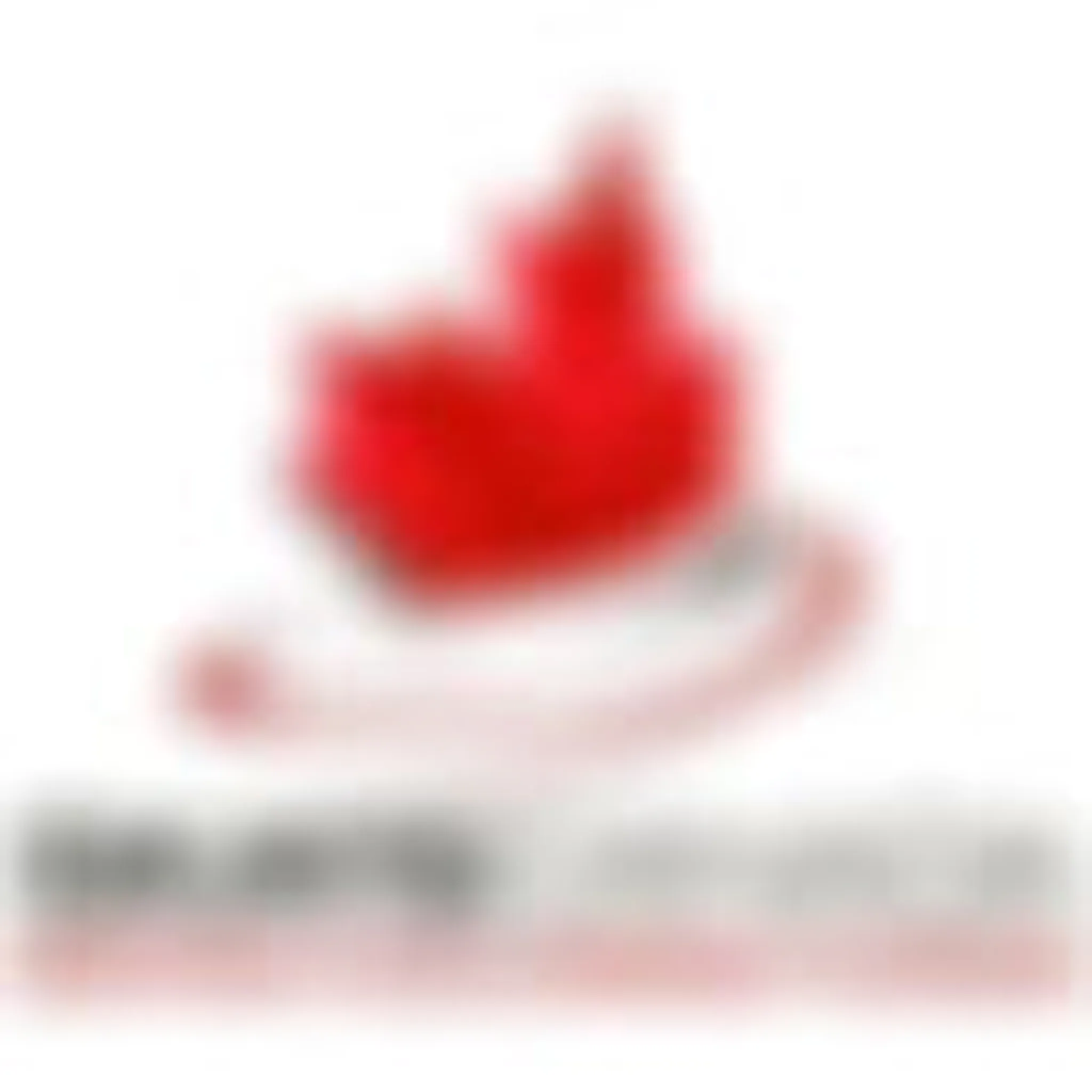 Mount Arrowsmith Skating Club