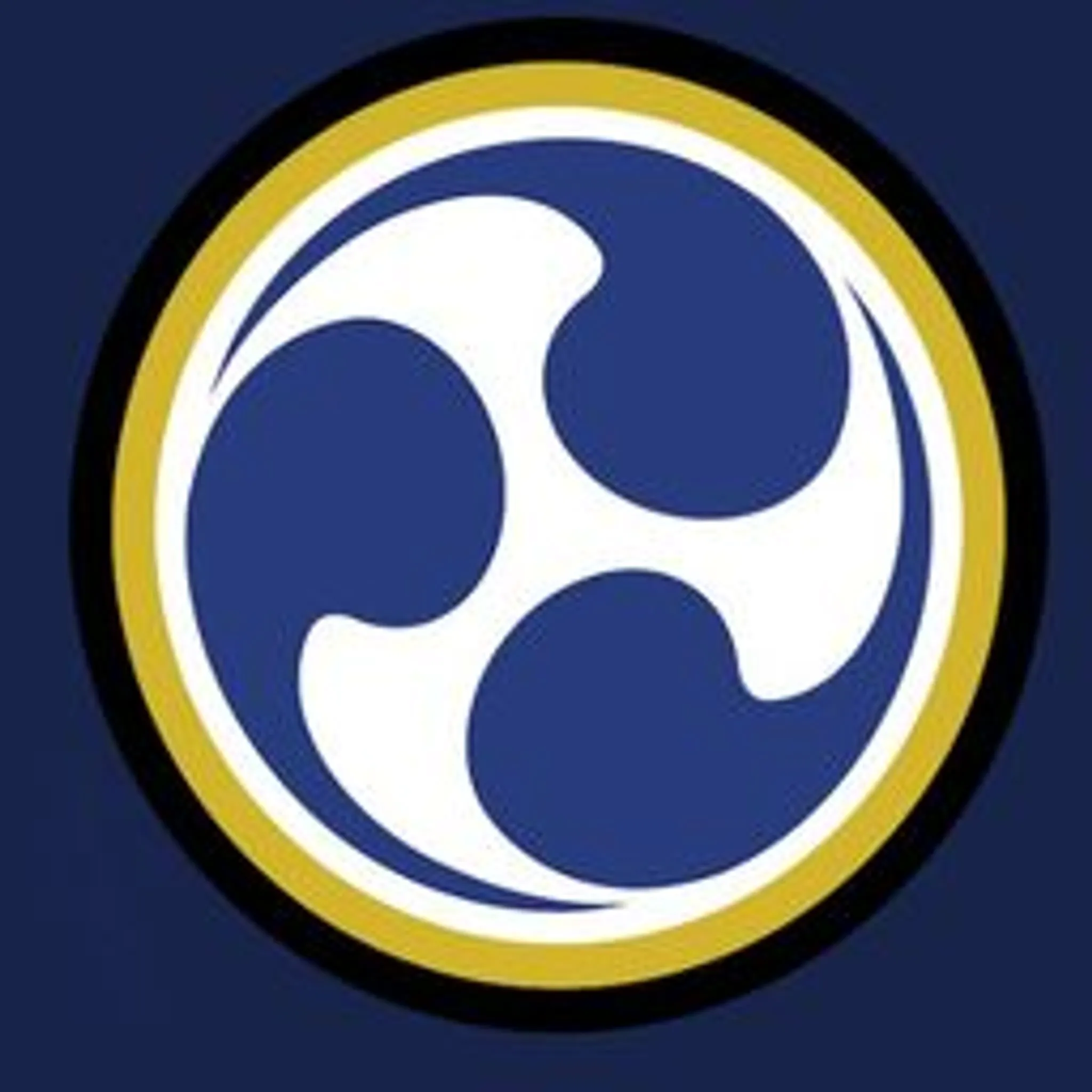 The Black Belt Academy