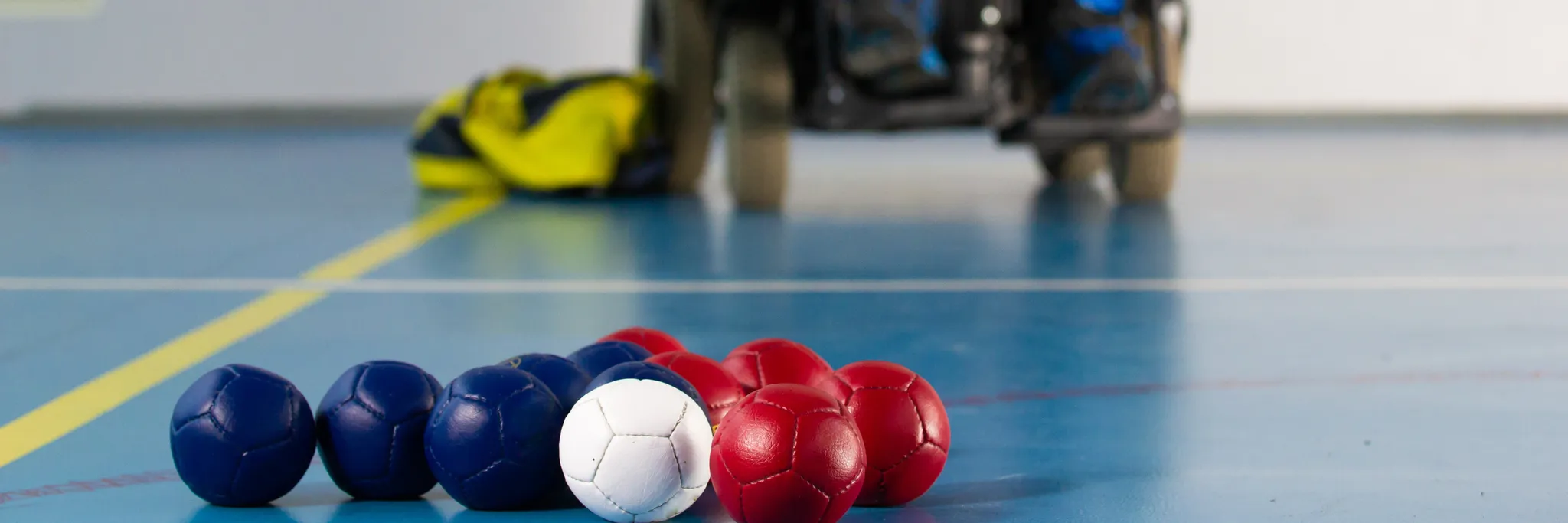 Redlands Boccia Program