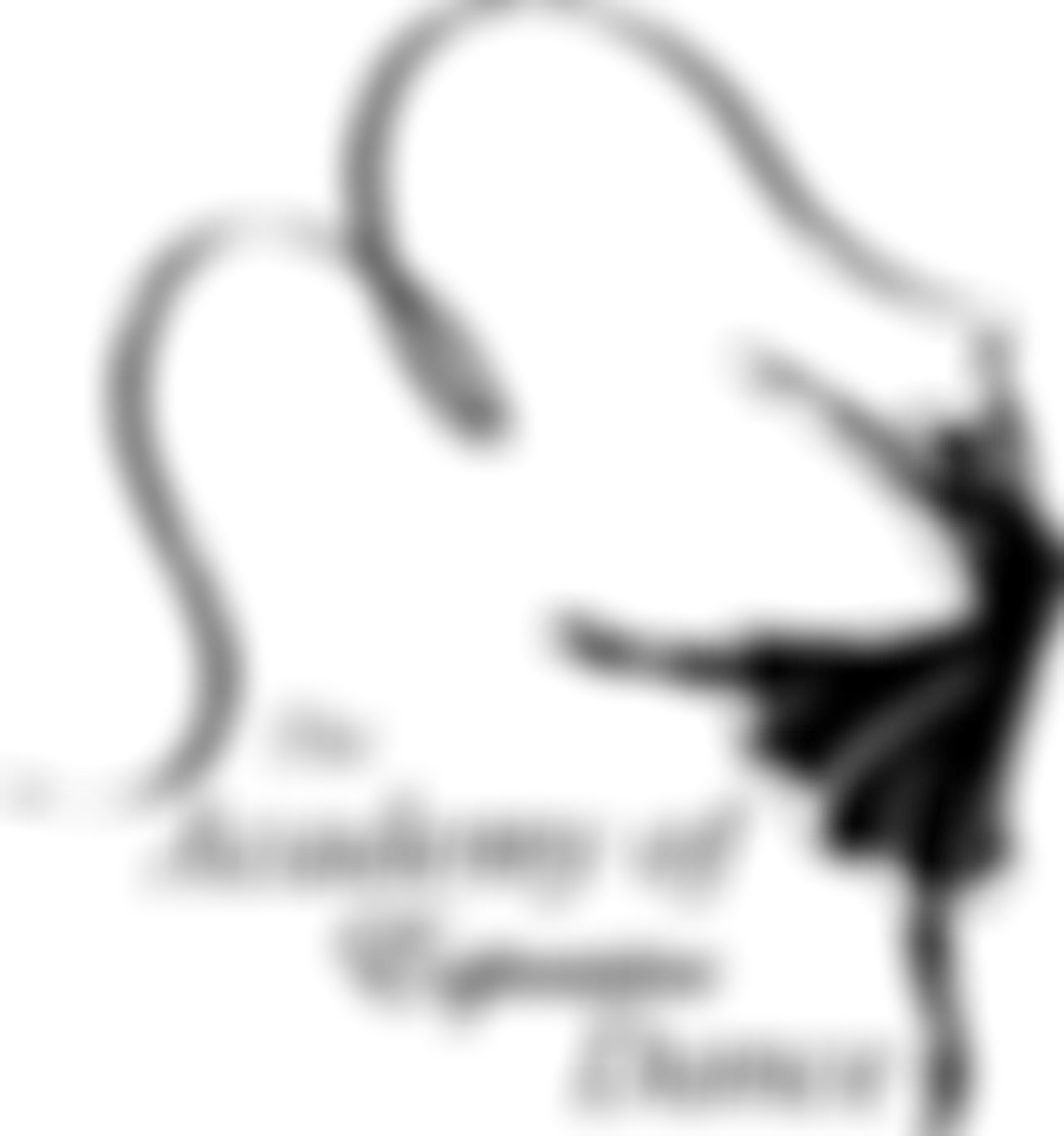 The Academy Of Expressive Dance