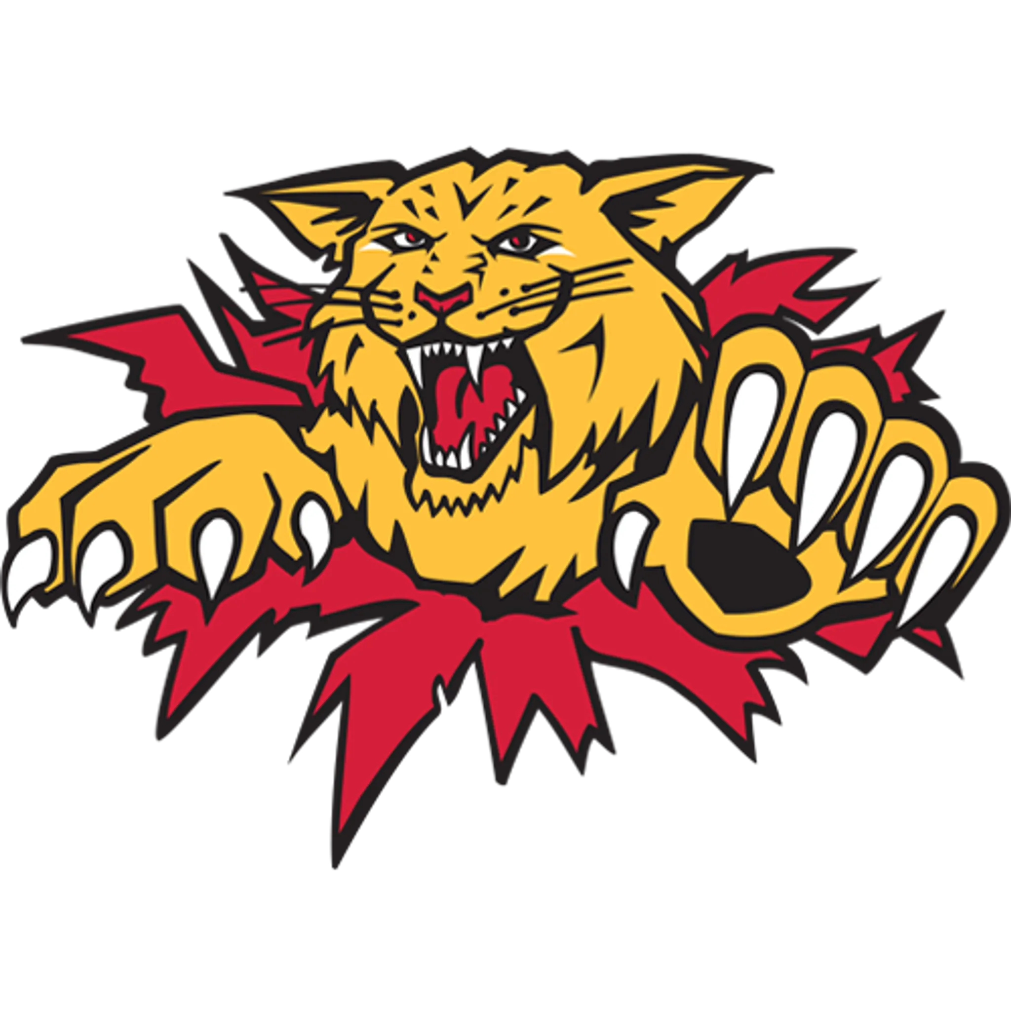 Owen Sound Attack Major Jr A Hockey Club