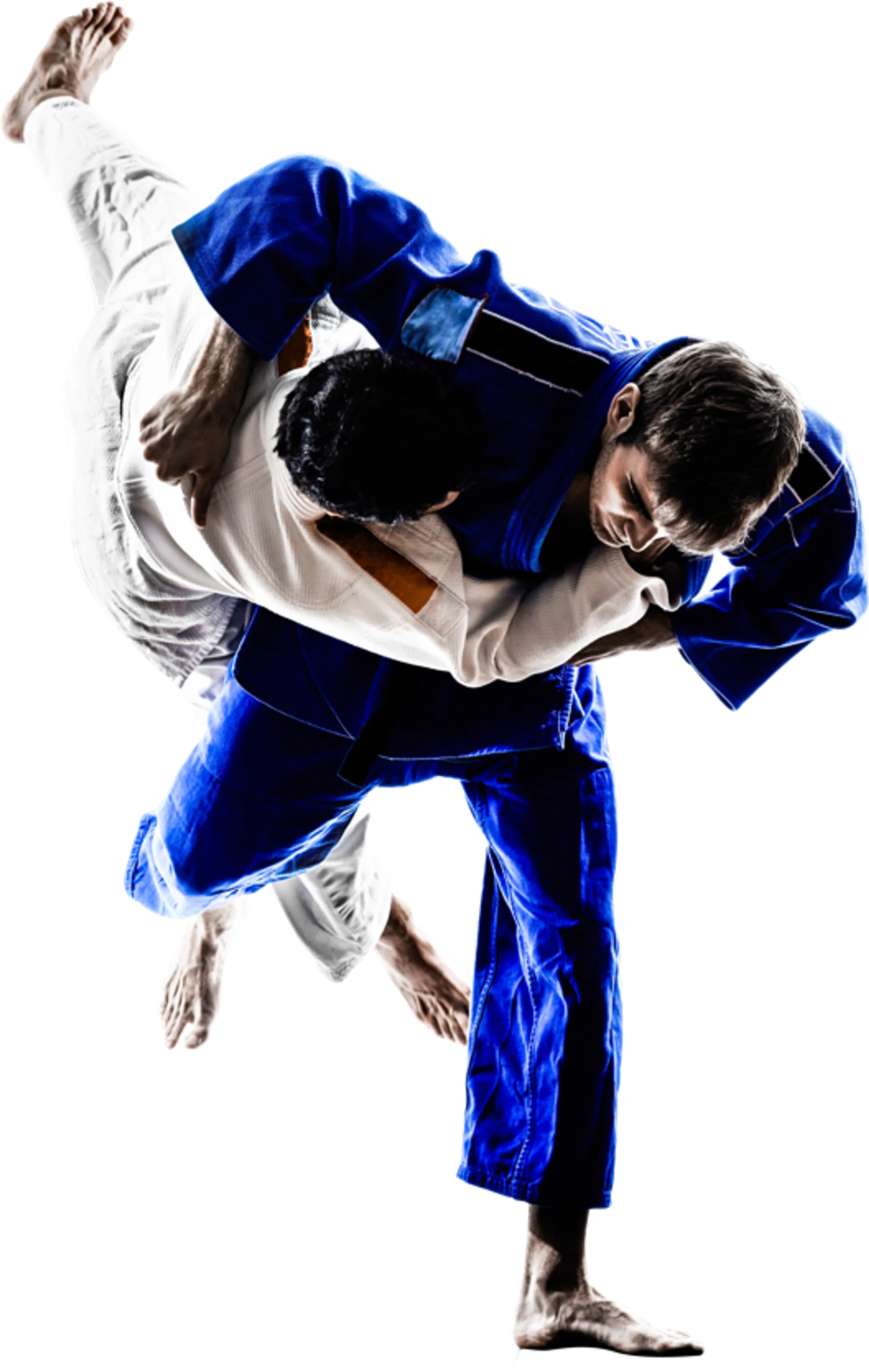 Animation Jujitsu Combat Veteran et M0